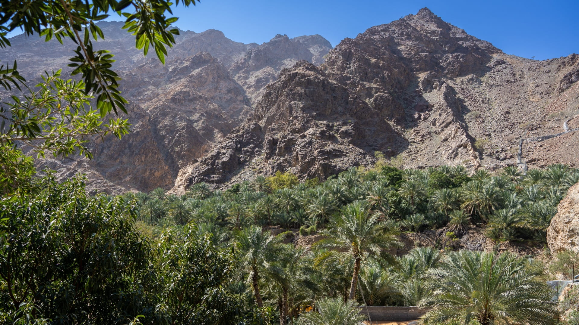 وديان الشارقة وجهة مثالية لعشاق الطبيعة 