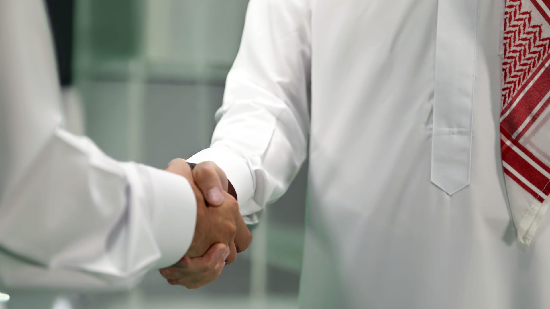 تأثير الشراكات بين القطاعين العام والخاص في الشارقة وأهميتها 