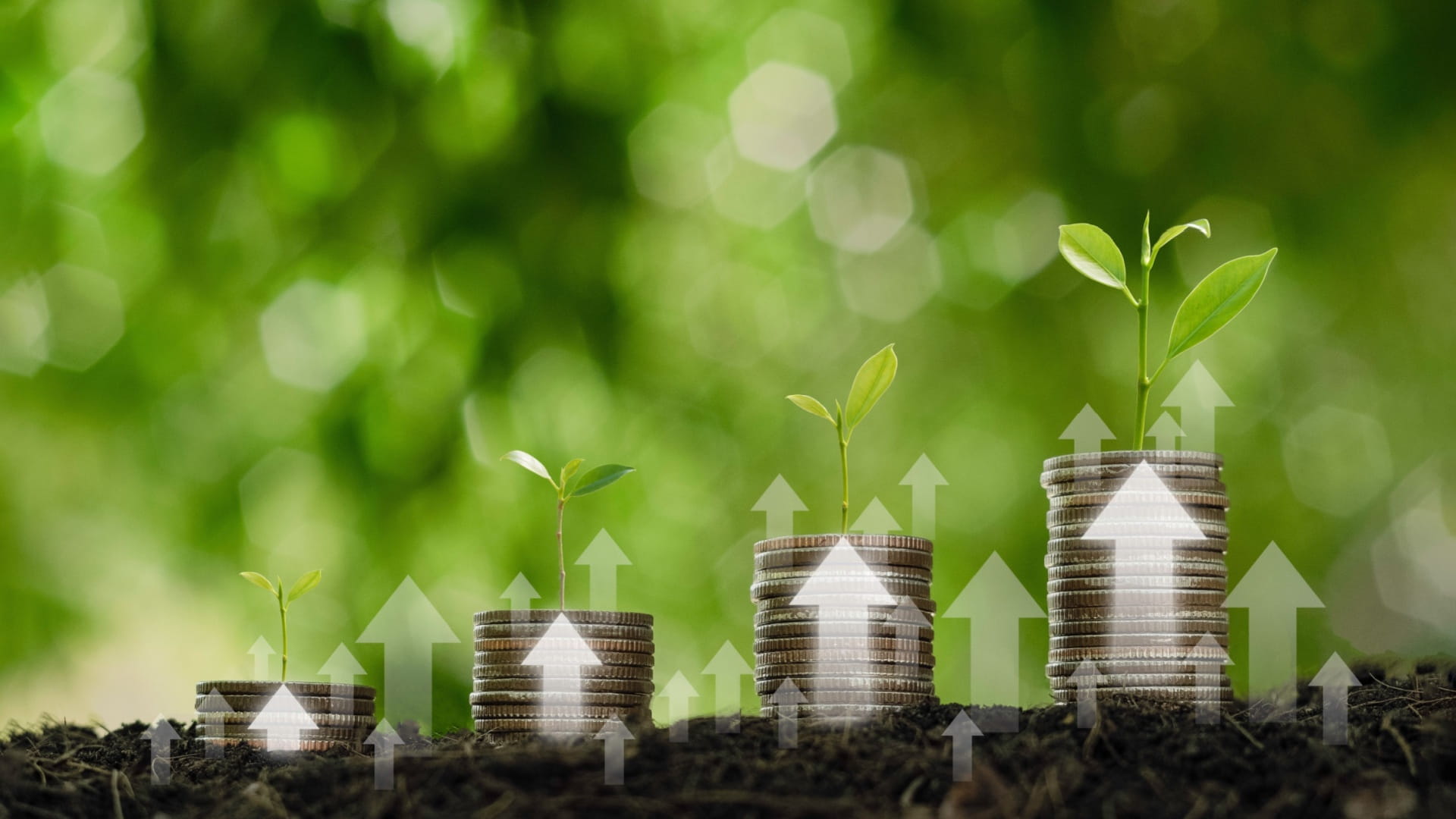 التمويل الأخضر في الشارقة نحو اقتصاد صديق للبيئة 