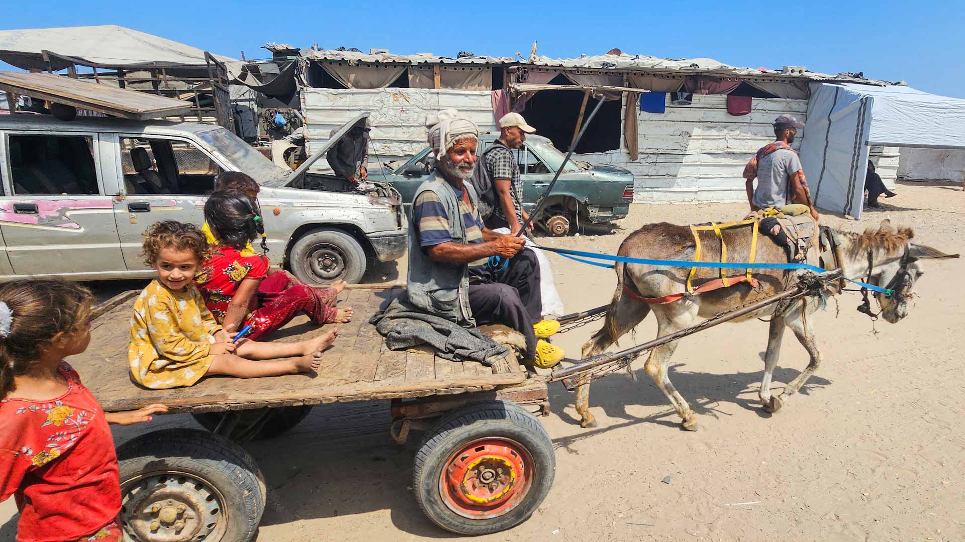 25  دولة غربية تدين القتل الوحشي في غزة وتطالب بإنهاء الحرب فوراً 