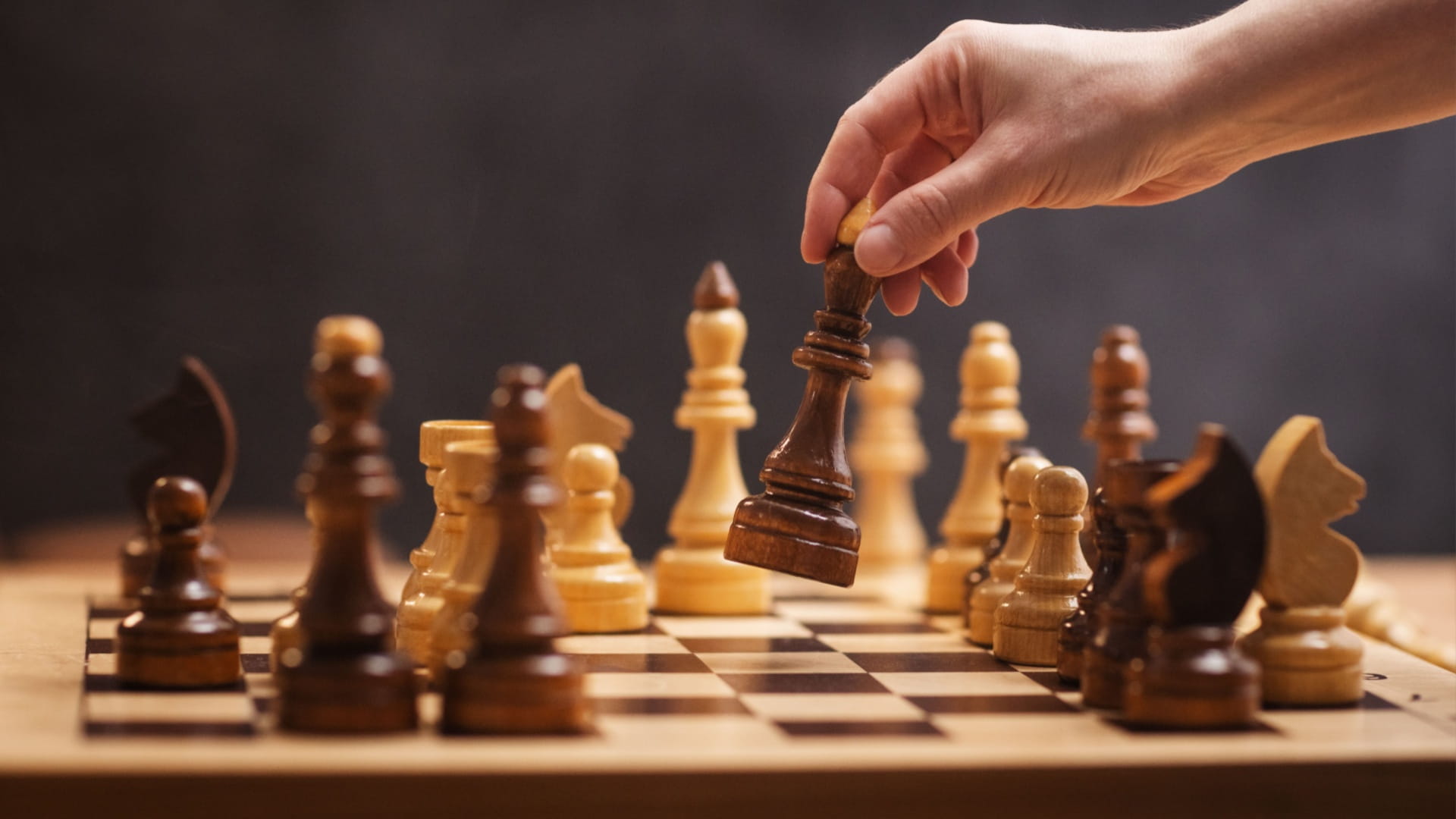 نادي الشارقة الثقافي للشطرنج منصة لصقل العقول الناشئة 