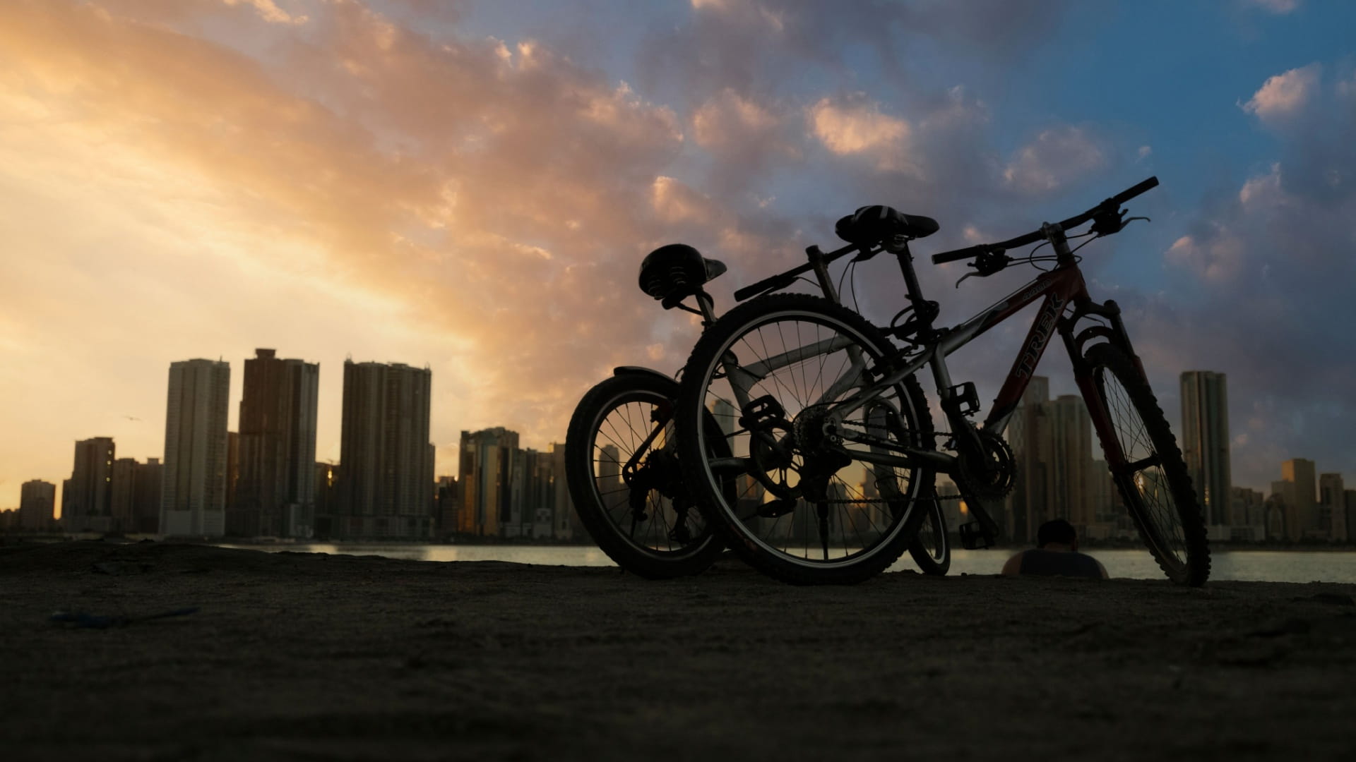 مبادرات ركوب الدراجة نوافذ تعزز الصحة العامة في الشارقة 