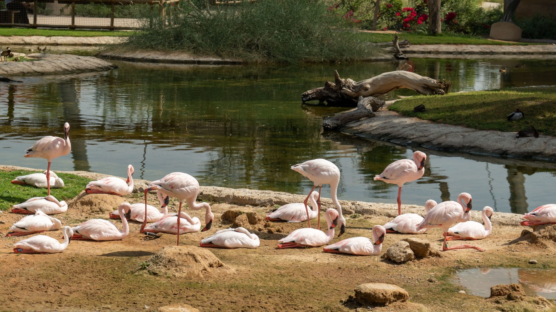 السياحة البيئية في الشارقة تحقق الترفيه بمسؤولية بيئية 