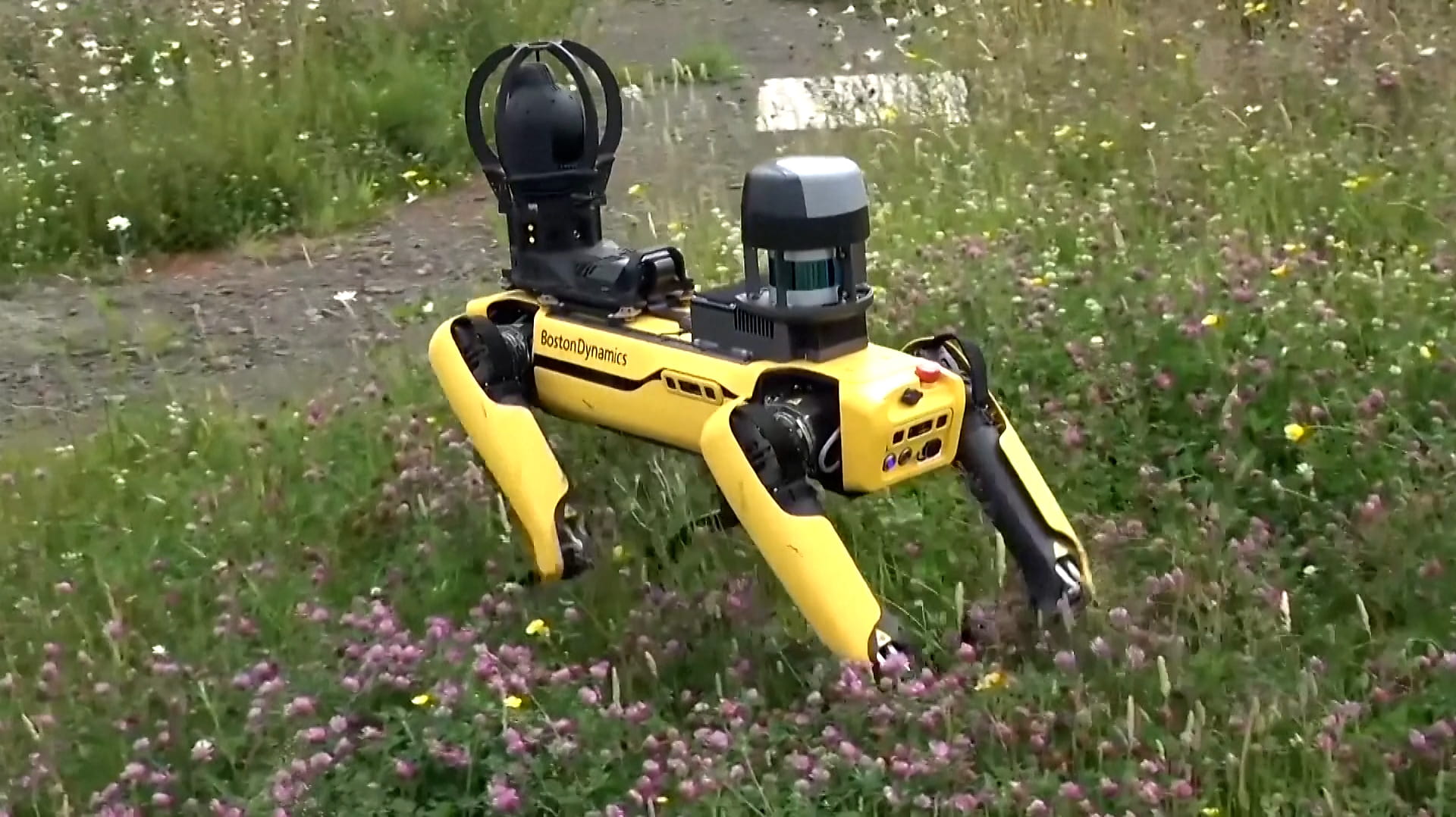 بتقنيات الجيل الخامس..روبوتات تدعم المزارعين في مناطق نائية بأسكتلندا 