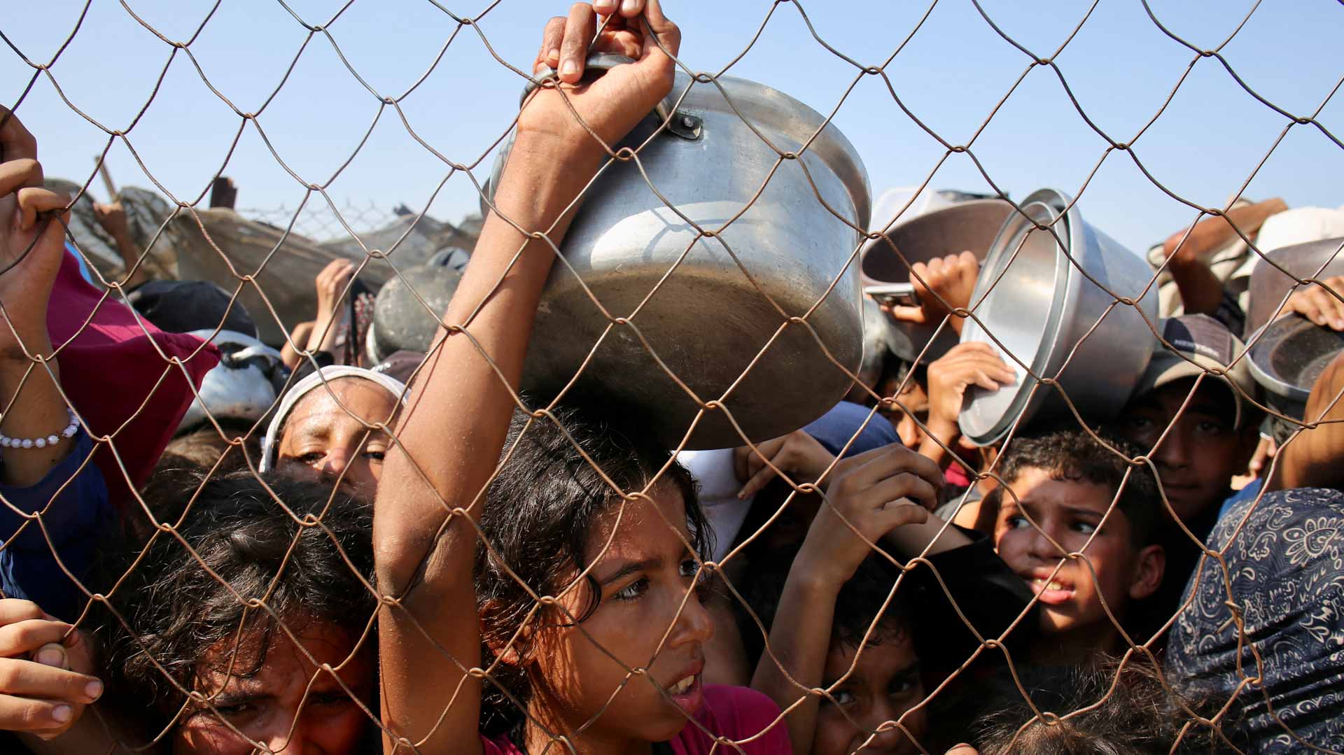  100 منظمة غير حكومية تدق ناقوس الخطر محذرة من تفشي المجاعة في غزة 