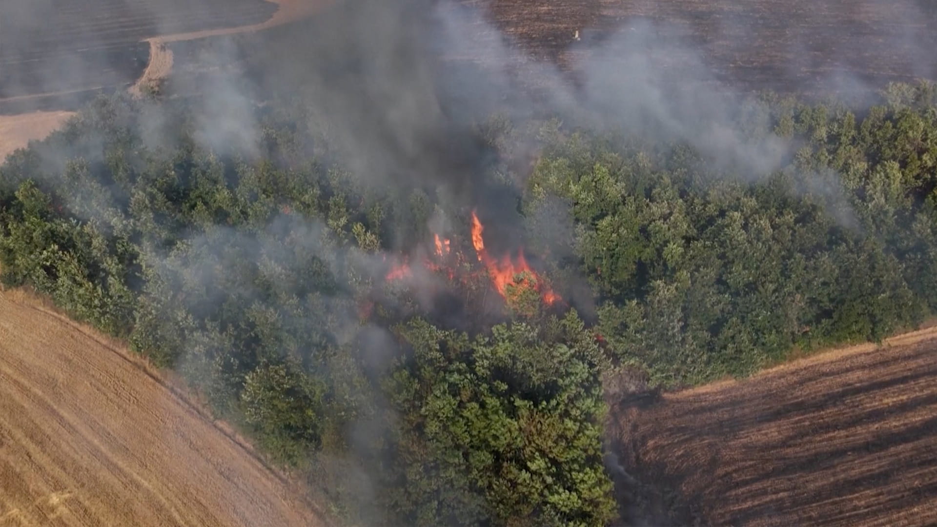  في كوسوفو.. حرائق الغابات تستعر وسط ارتفاع درجات حرارة البلقان