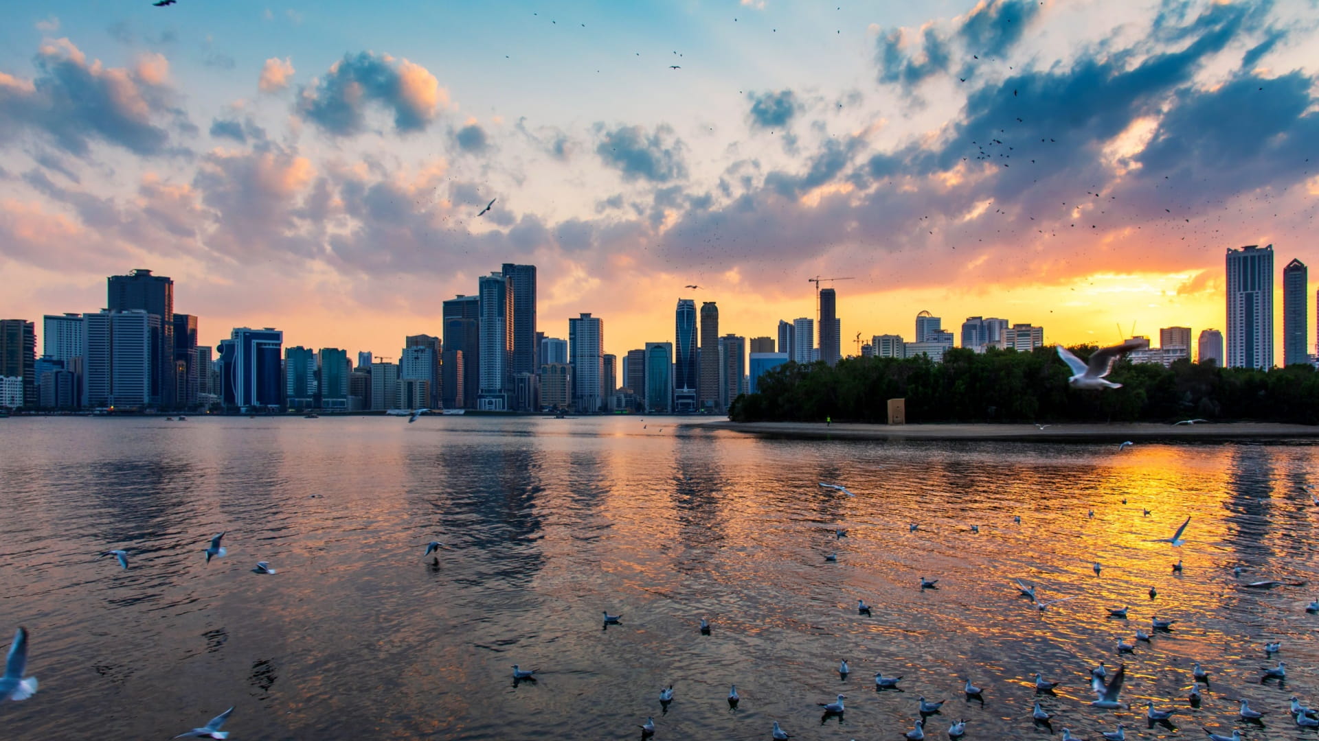 السياحة الموسمية في الشارقة: تجارب فريدة في كل موسم 