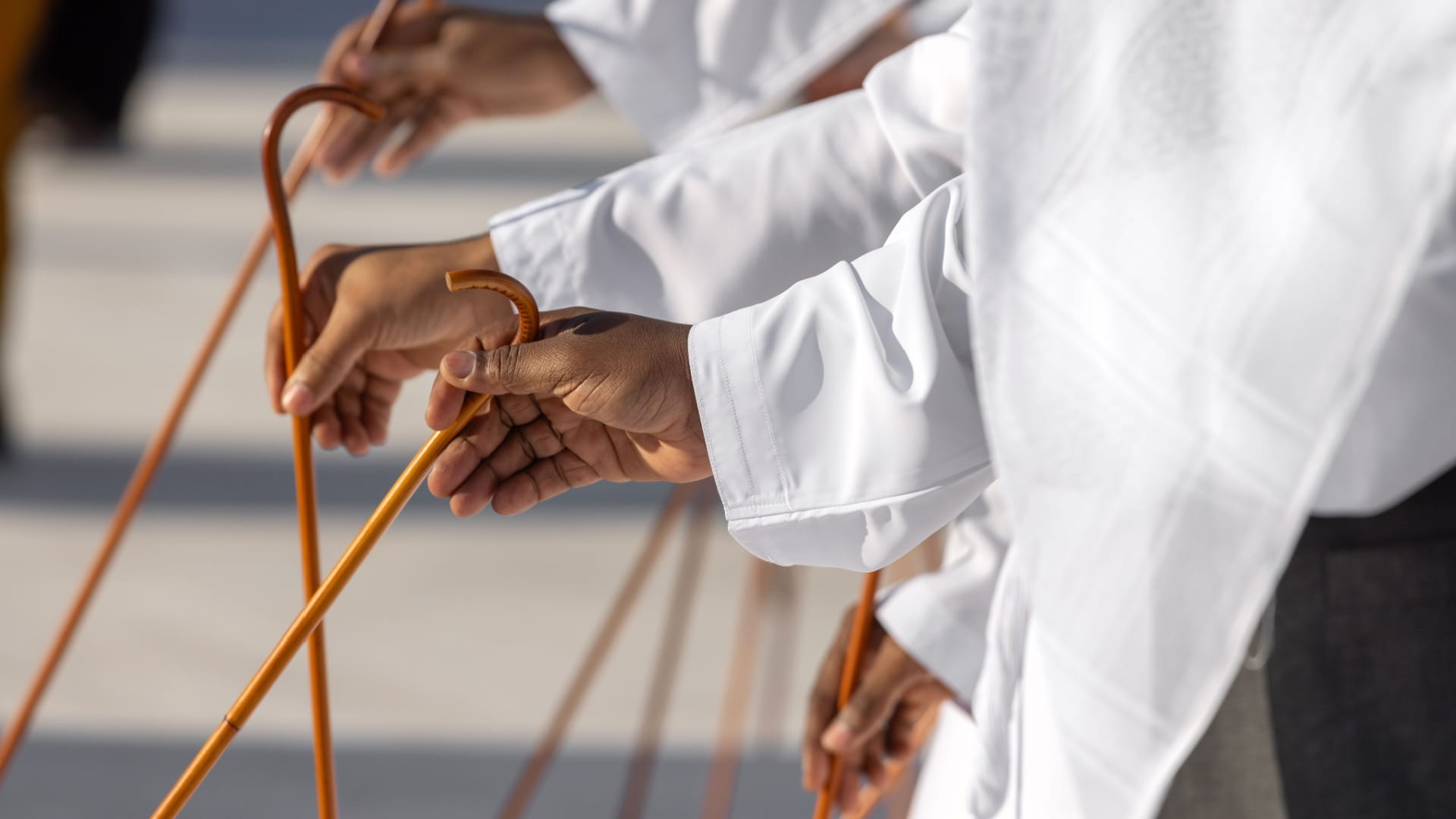 جائزة الشارقة الدولية للتراث الثقافي.. جائزة عالمية لحفظ الهوية 