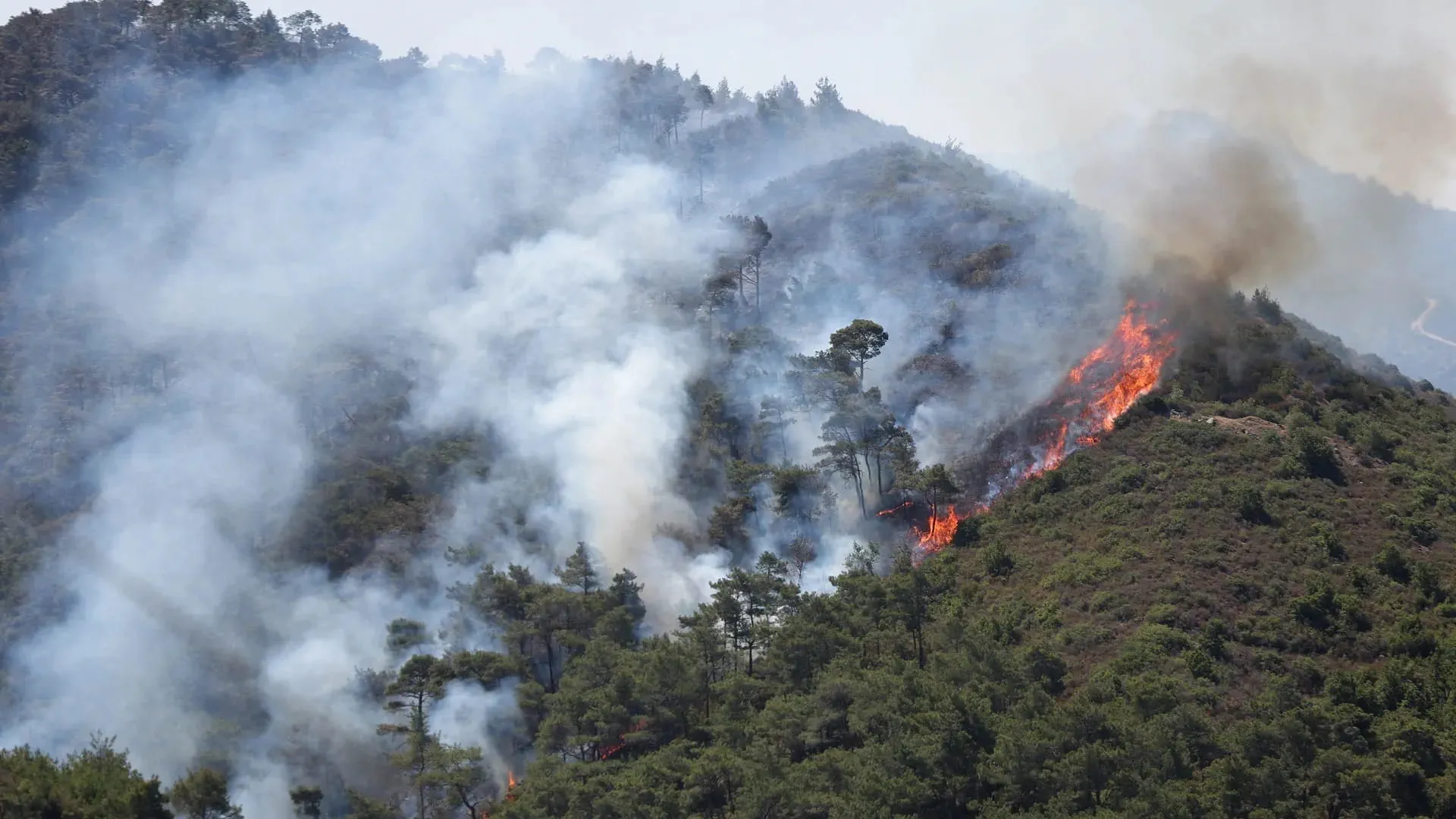 Wildfire in central Turkey kills 10, injures 14