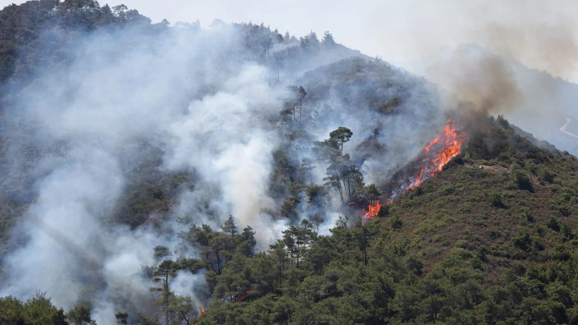 وفاة 10 وإصابة 14 في حريق غابات بوسط تركيا