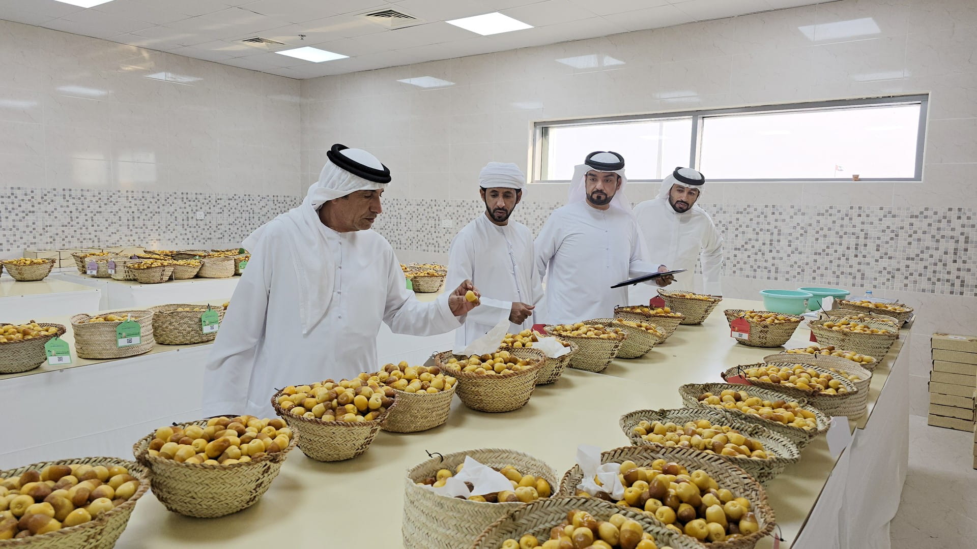 Palm growers compete intensely at 9th Al Dhaid Date Festival