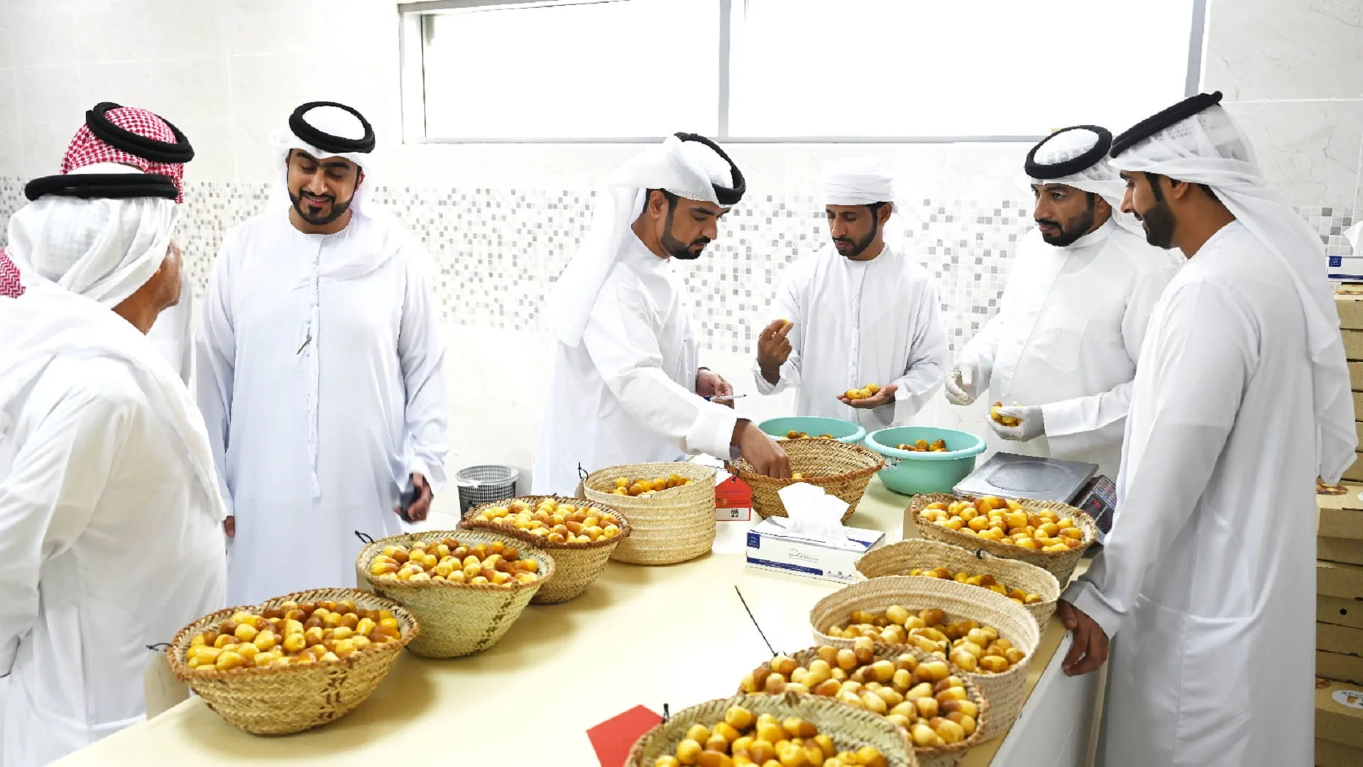 Al Dhaid Date Festival A premier platform for agricultural sector 
