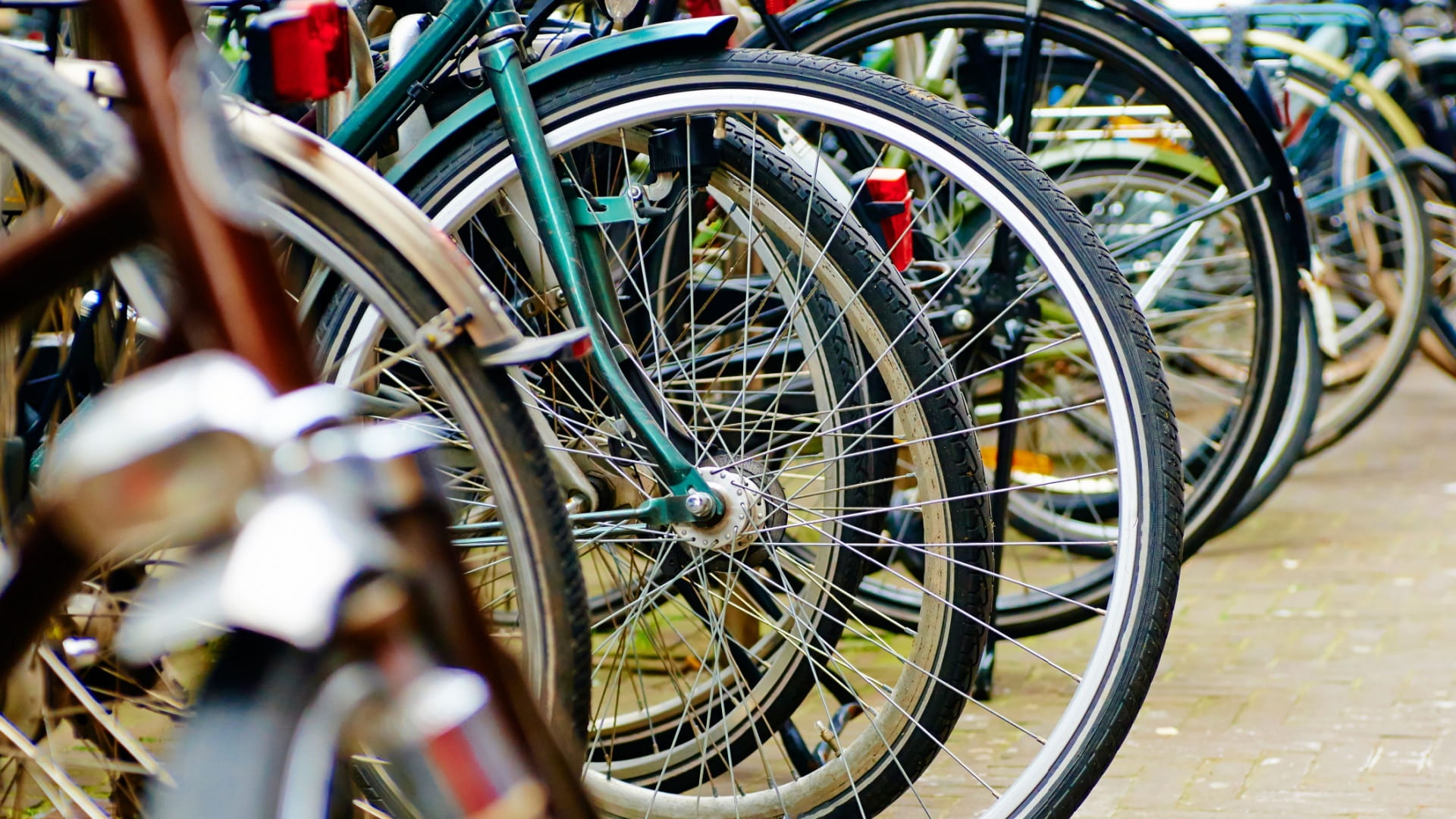 طواف الشارقة الدولي للدراجات الهوائية.. 5 أيام من الإثارة والحماس 