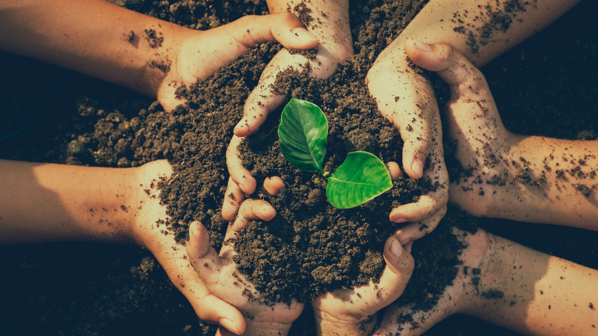 الشارقة تنشر ثقافة أهمية الحفاظ على البيئة لدى الأجيال الجديدة 