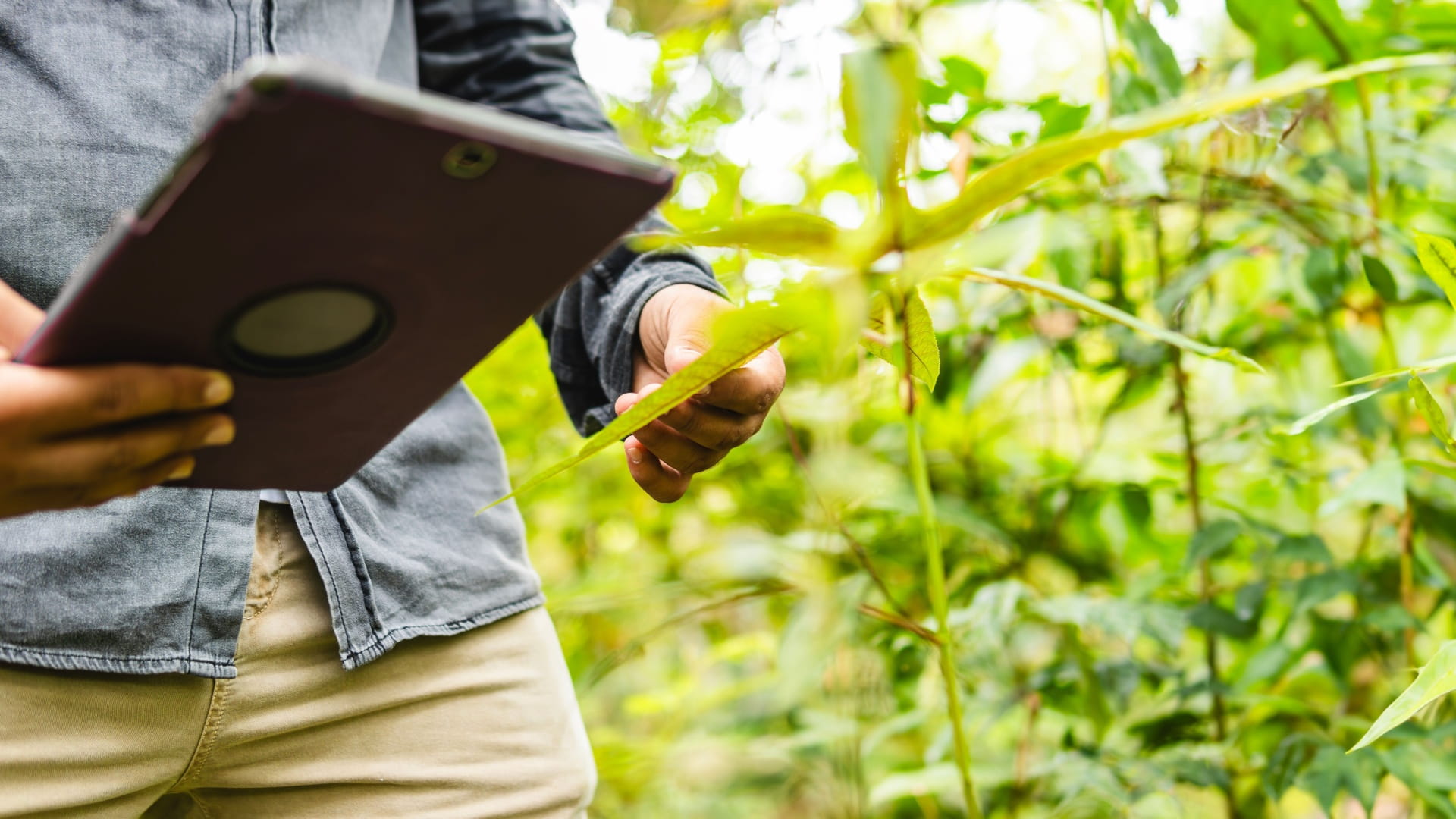 ابتكارات من الشارقة... التكنولوجيا في خدمة الحياة البرية