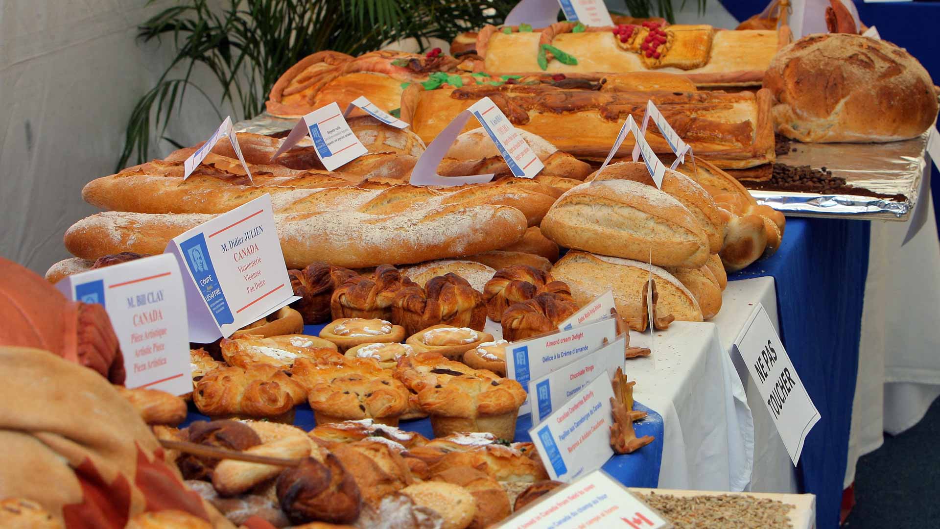 خطر خفي في الخبز الأبيض.. دراسة تكشف ارتباطه بسرطان القولون 