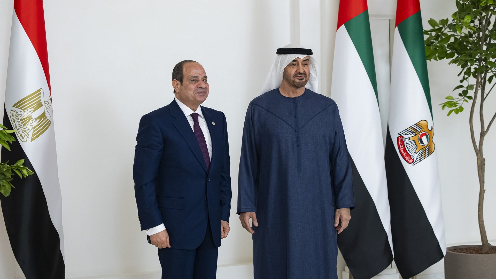 UAE, Egyptian Presidents discuss fraternal ties, regional devts