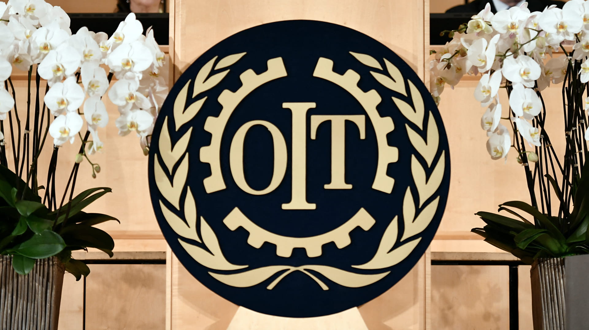 ILO votes to upgrade Palestine's status 