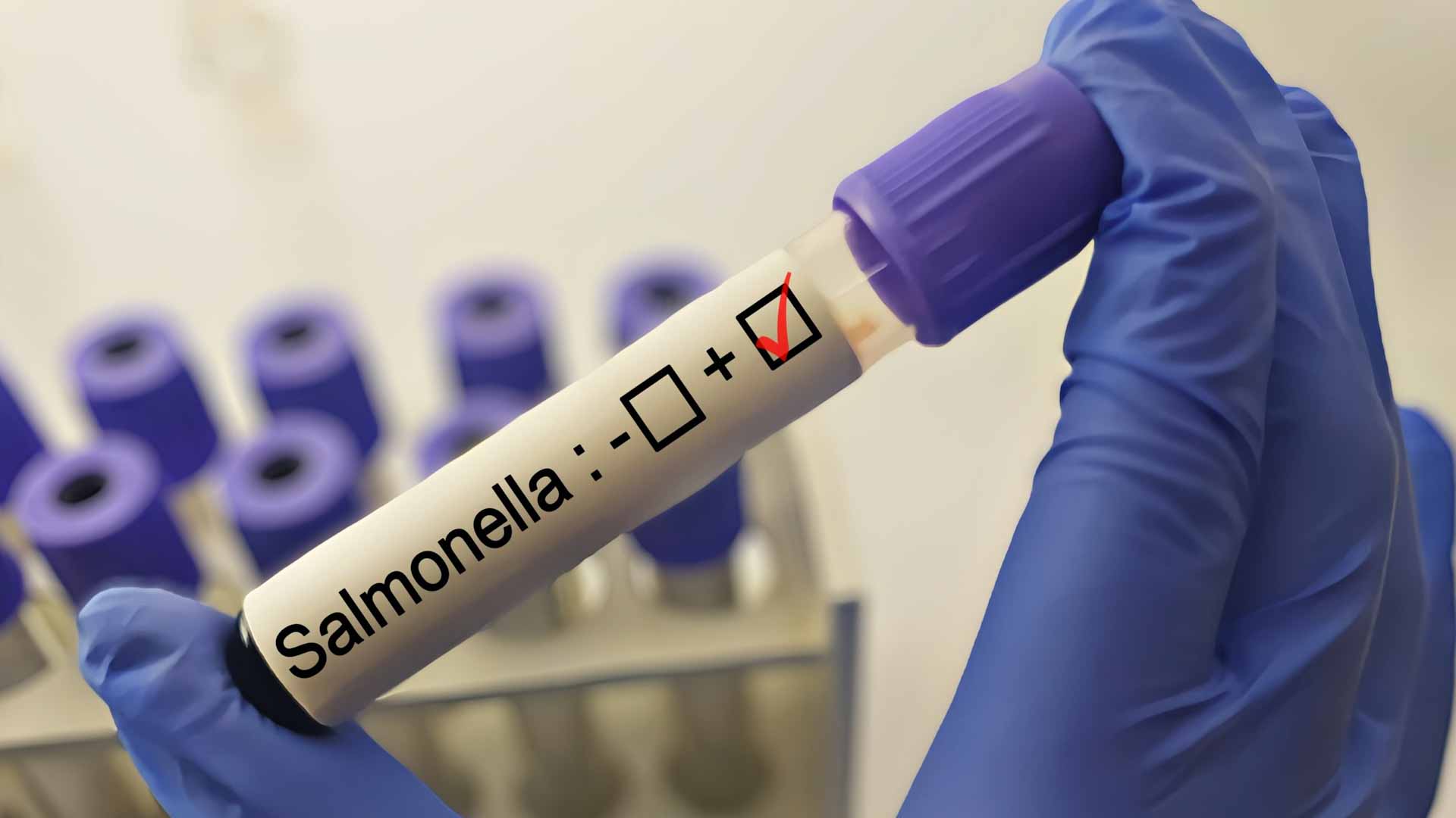 Salmonella outbreak spreads across seven US states