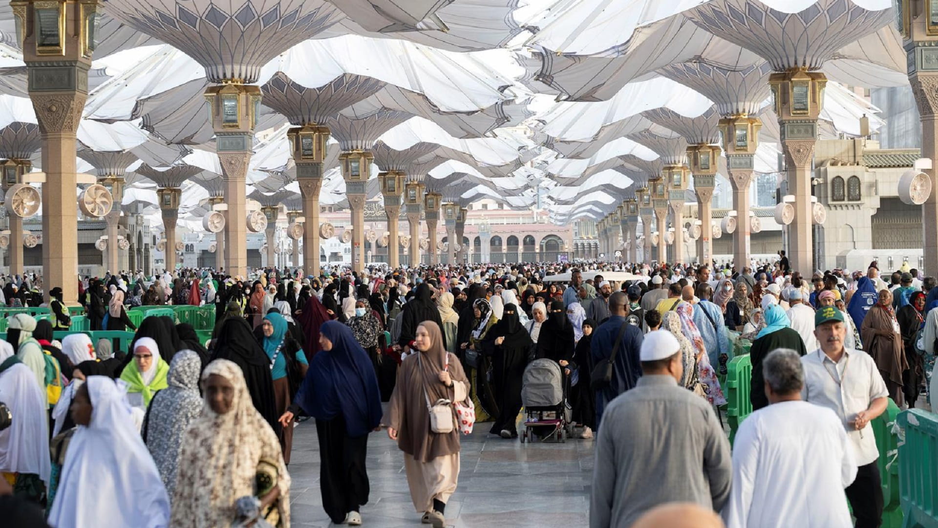 المدينة المنورة تستقبل طلائع الحجاج المتعجلين