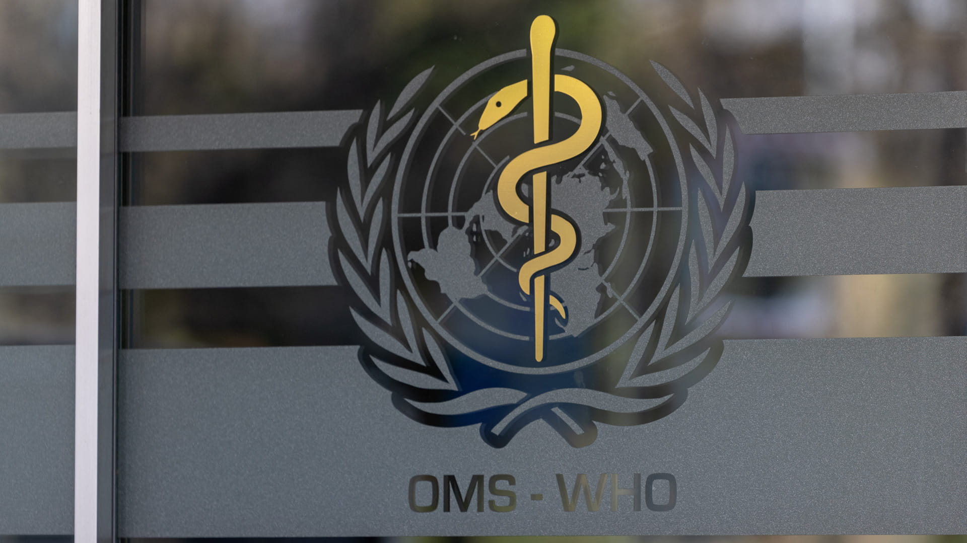 شعار منظمة الصحة العالمية في مقر المنظمة بجنيف  