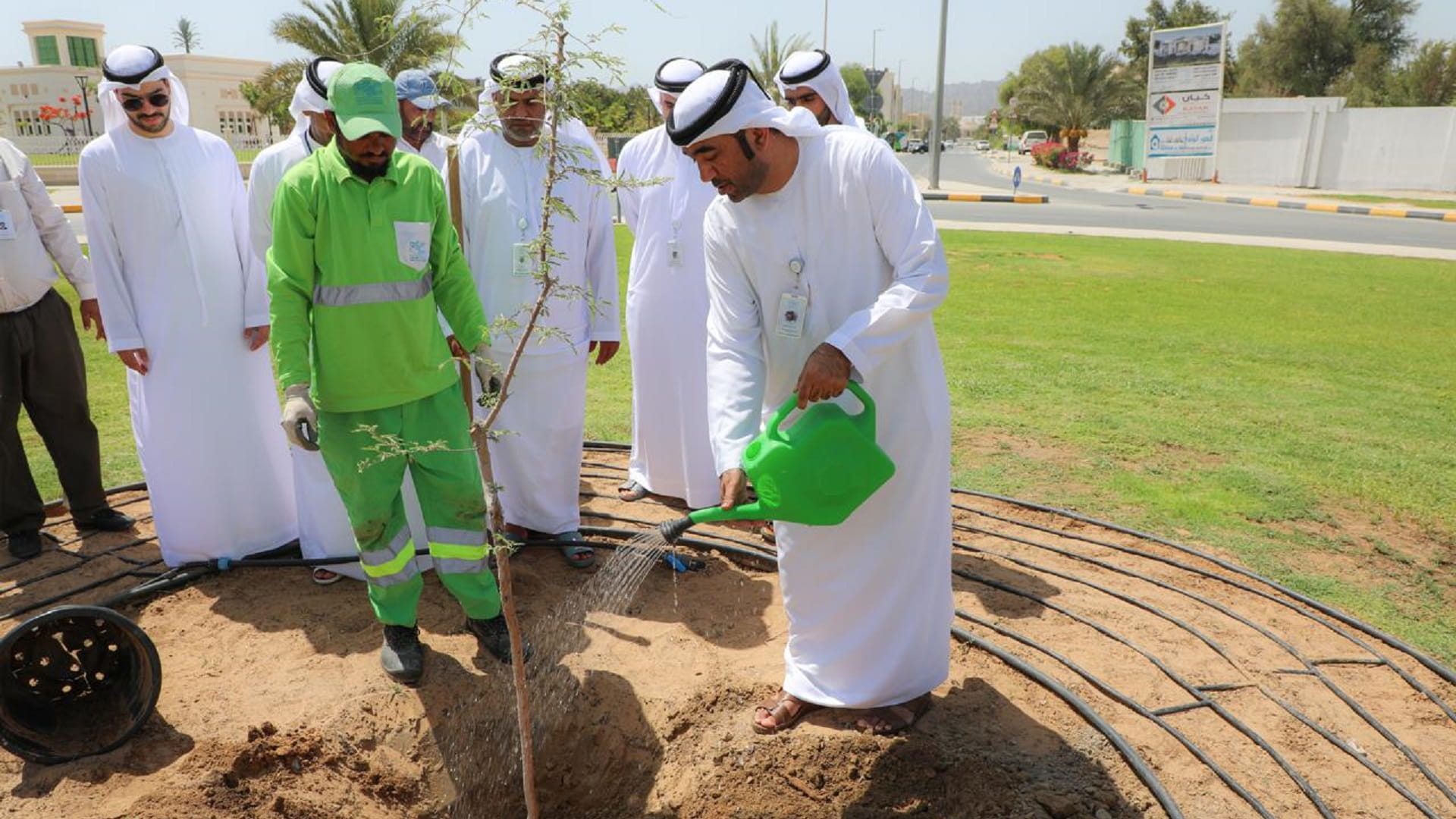 بلدية دبا الحصن تغرس "شجر الغاف" لتعزيز الاستدامة البيئية 