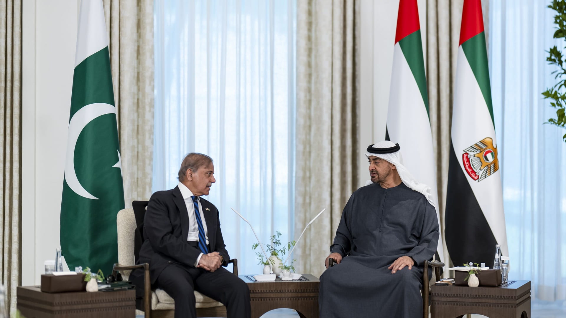 UAE President, Pakistani PM discuss bilateral cooperation