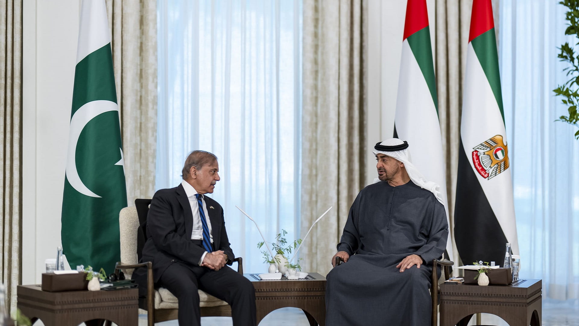 صورة بعنوان: رئيس الدولة ورئيس وزراء باكستان يبحثان علاقات التعاون بين البلدين 