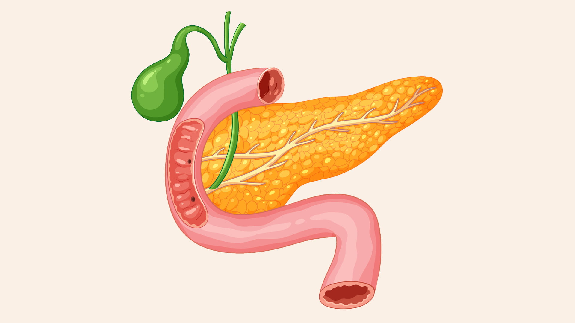 باحثون يطورون نظاماً لبنكرياس ذكي يحسن إدارة السكري من النوع الأول 