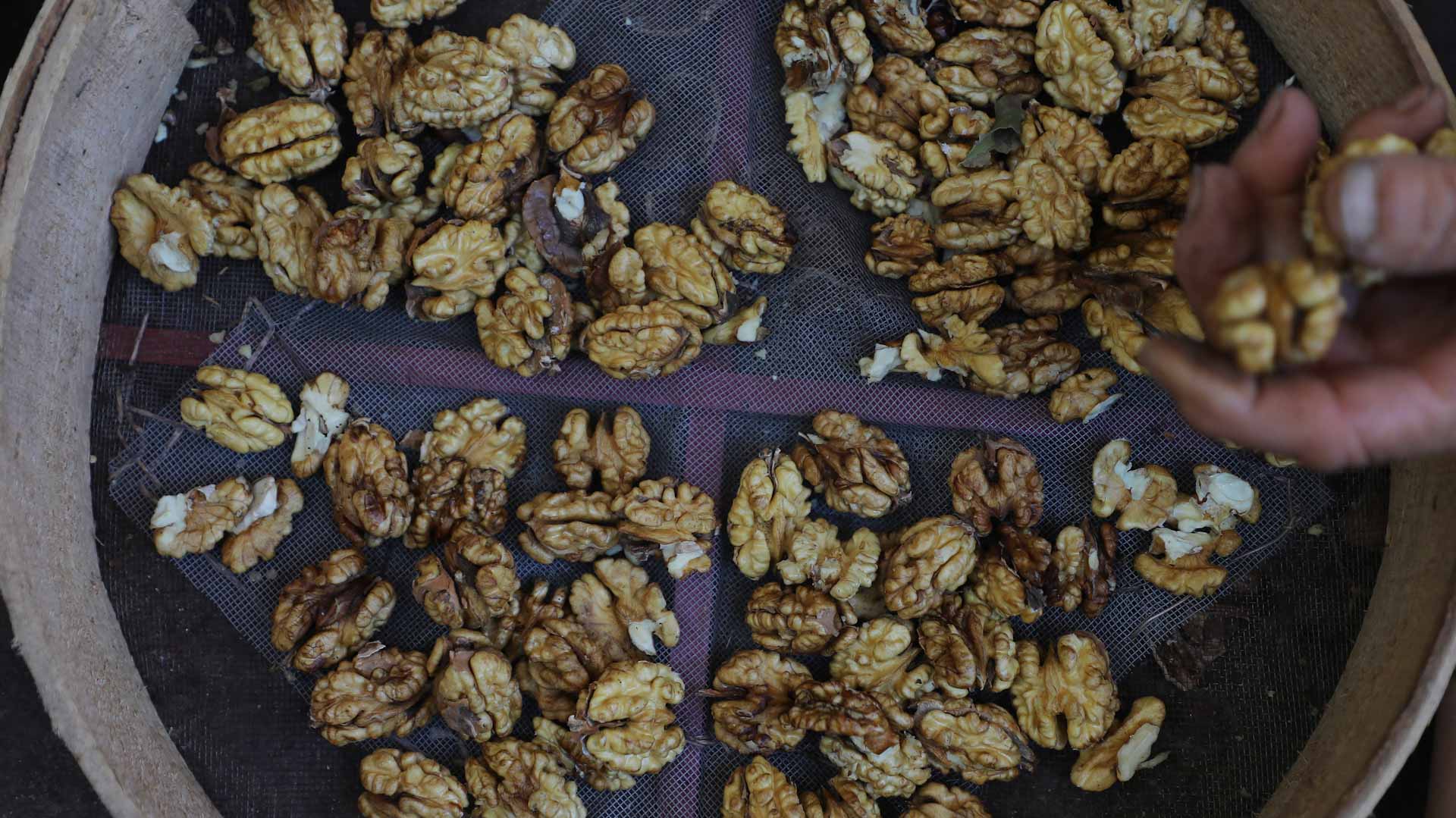 يعد إكسير الحياة..الجوز يقي القلب من النوبات ويحمي المخ من السكتات  