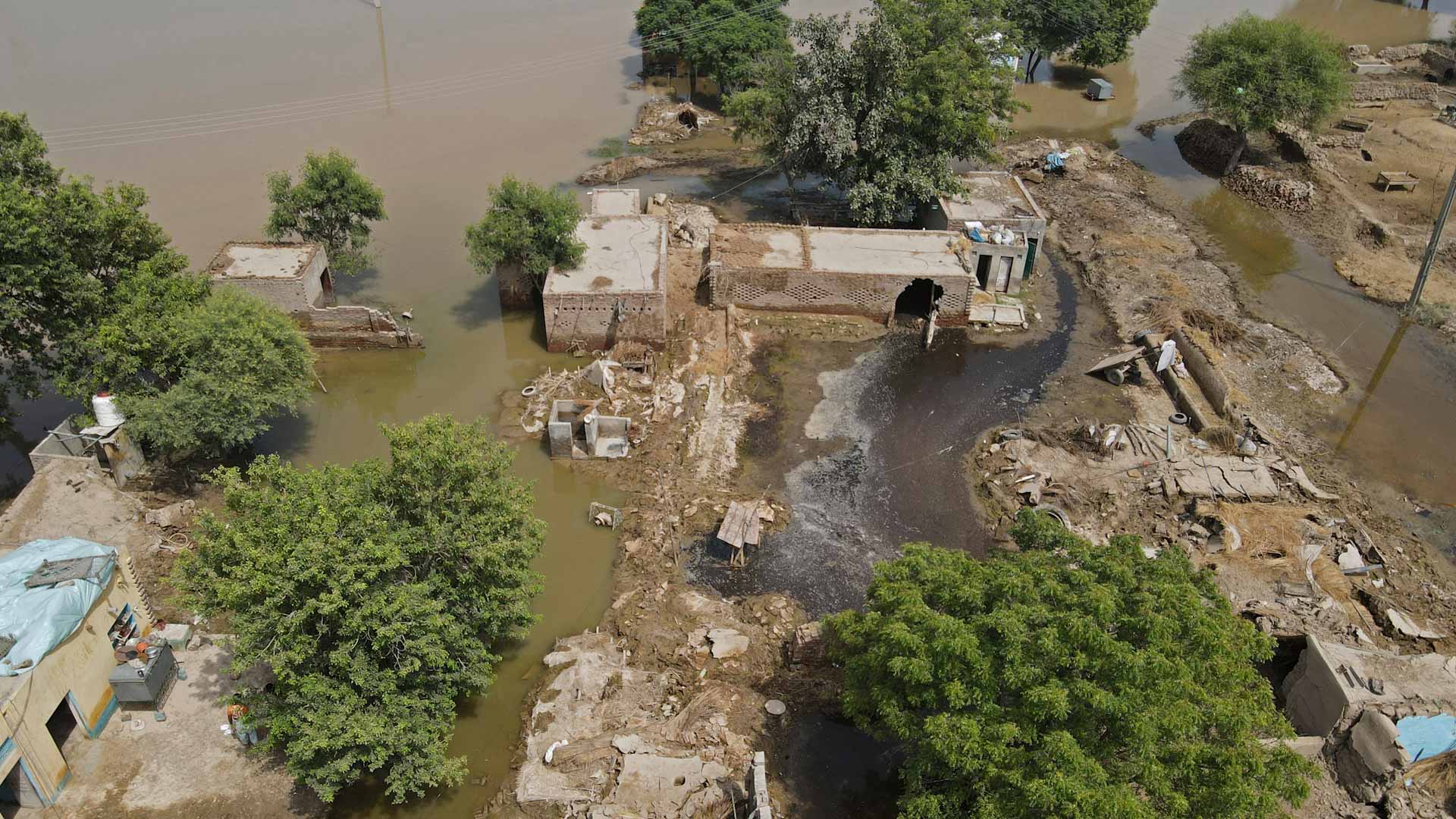 مقتل 7 وإصابة 39 شخصاً جراء أمطار غزيرة شرق باكستان 