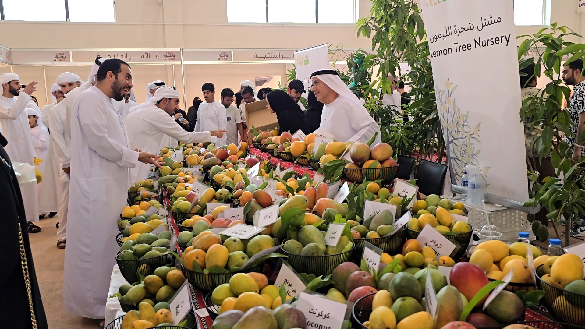35 farmers, 200 mango types at Khorfakkan Mango Festival 