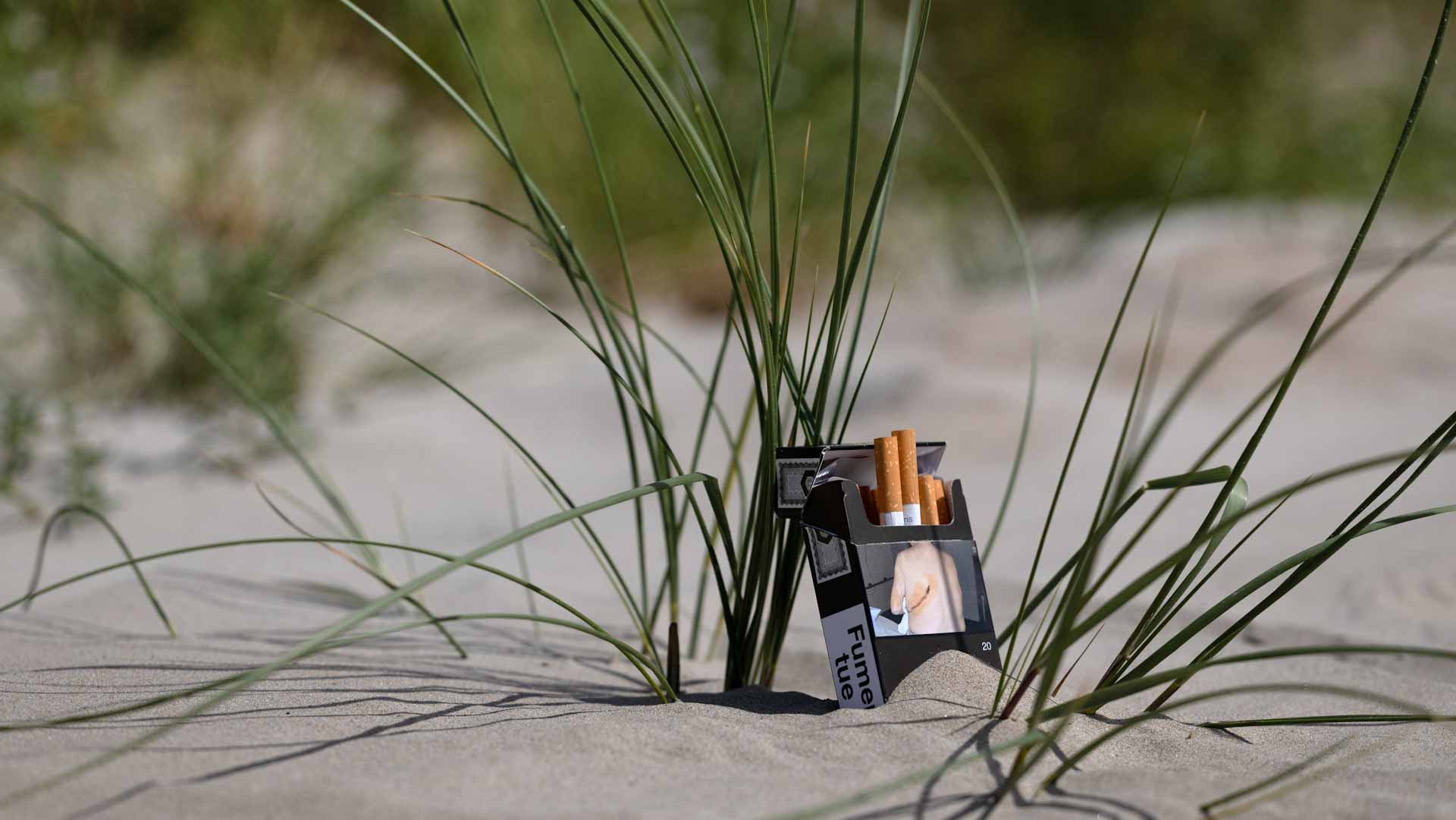 فرنسا تحظر التدخين في الشواطئ والحدائق لحماية الأطفال 