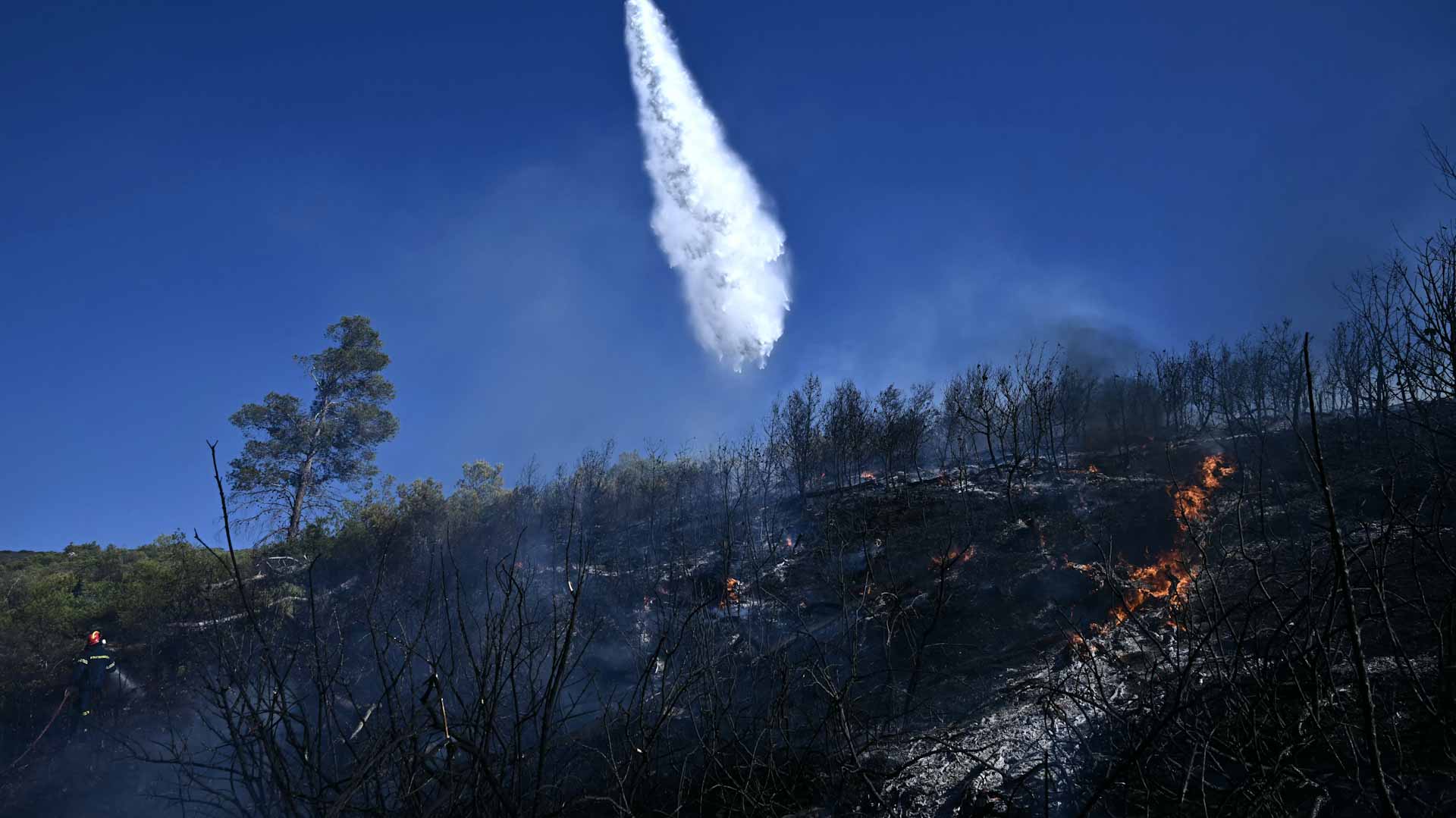 بسبب رياح شديدة..حريق غابات يهدد منازل ومناطق صناعية في إزمير التركية