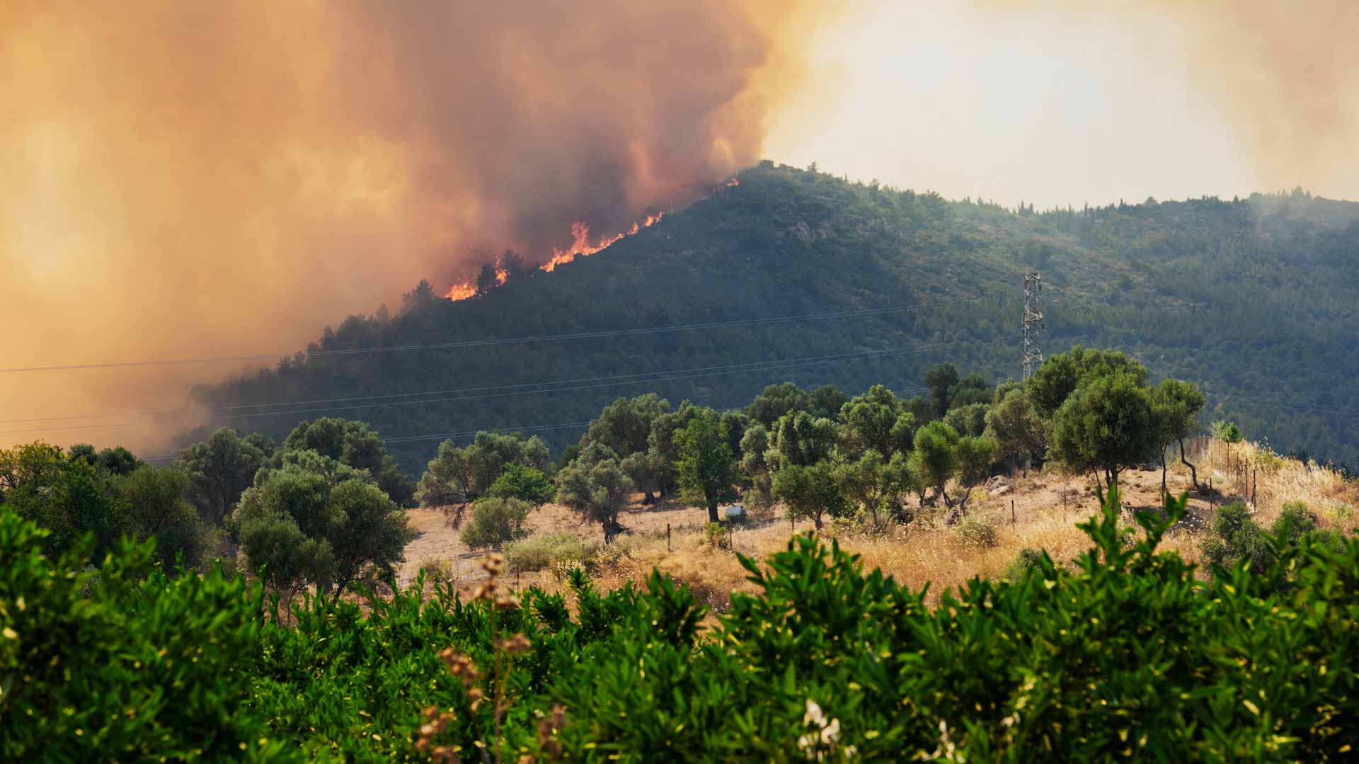 تركيا تجلي أكثر من 50 ألف شخص بسبب حرائق الغابات 