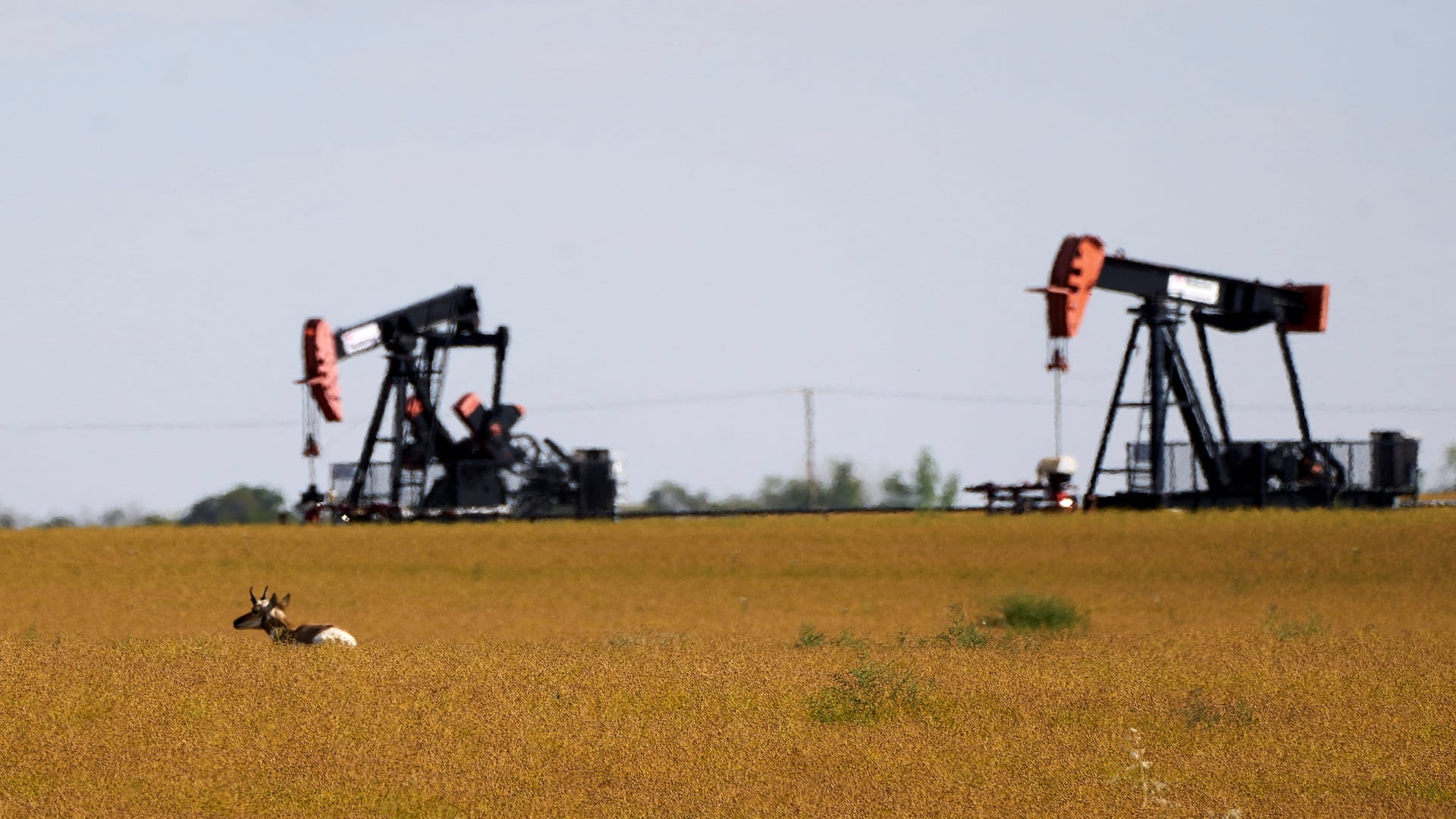 وسط مخاوف الرسوم الجمركية.. النفط يهبط أكثر من 1 % عند التسوية 