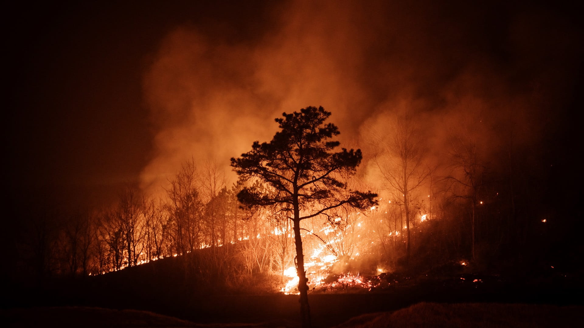 UAE expresses solidarity with South Korea over wildfire tragedy