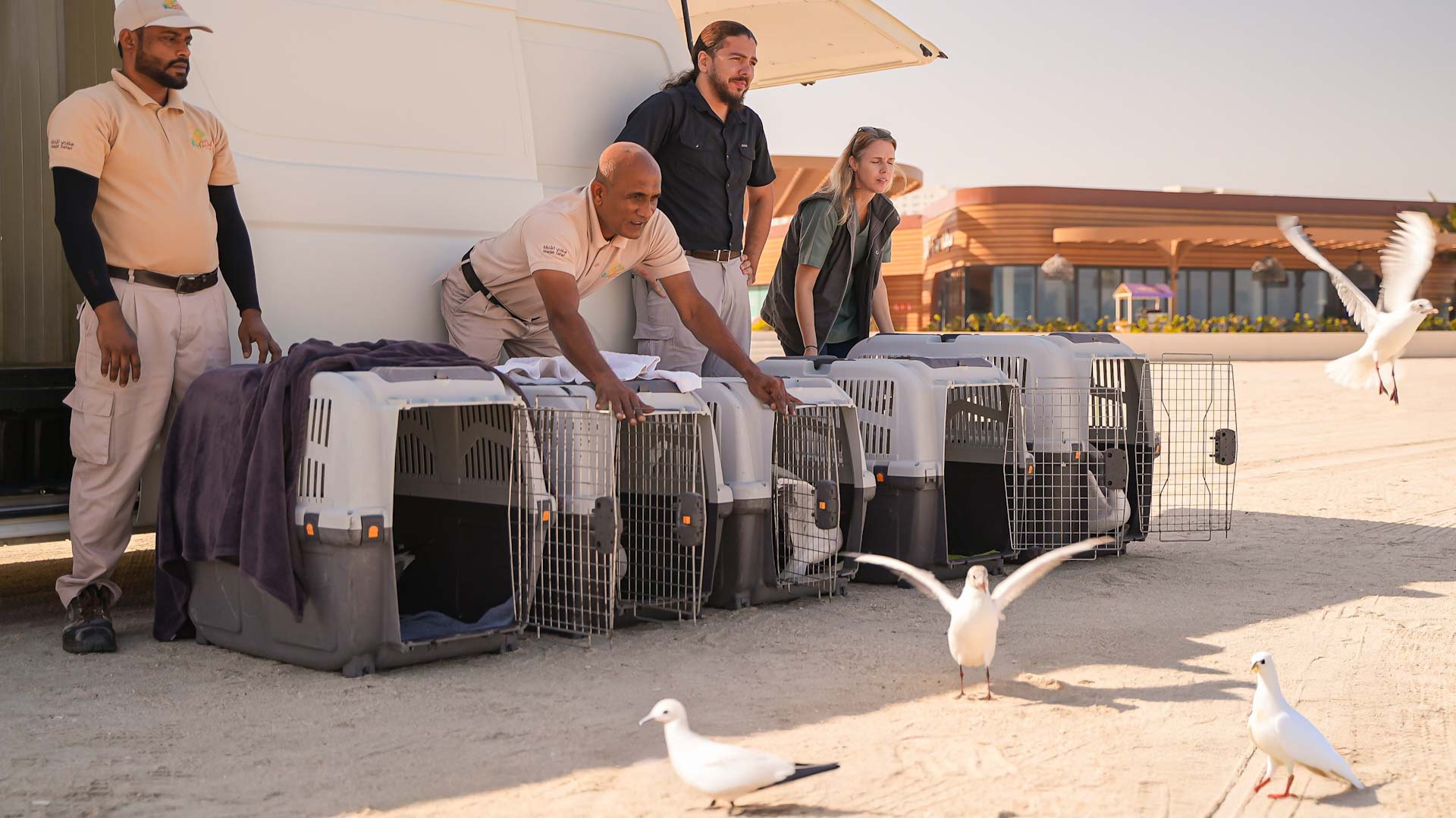 EPAA releases 46 seabirds as part of SSRP
