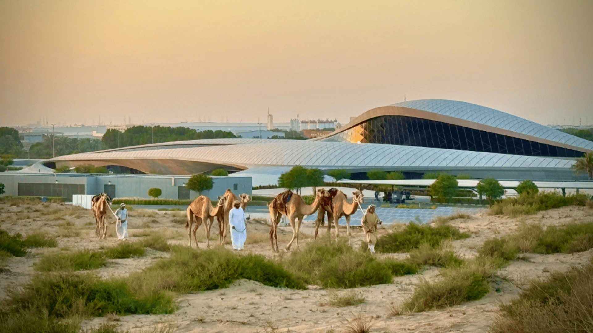 "الحلول الحضرية لعالم أخضر" ينال جائزة Impact DOCS Awards العالمية