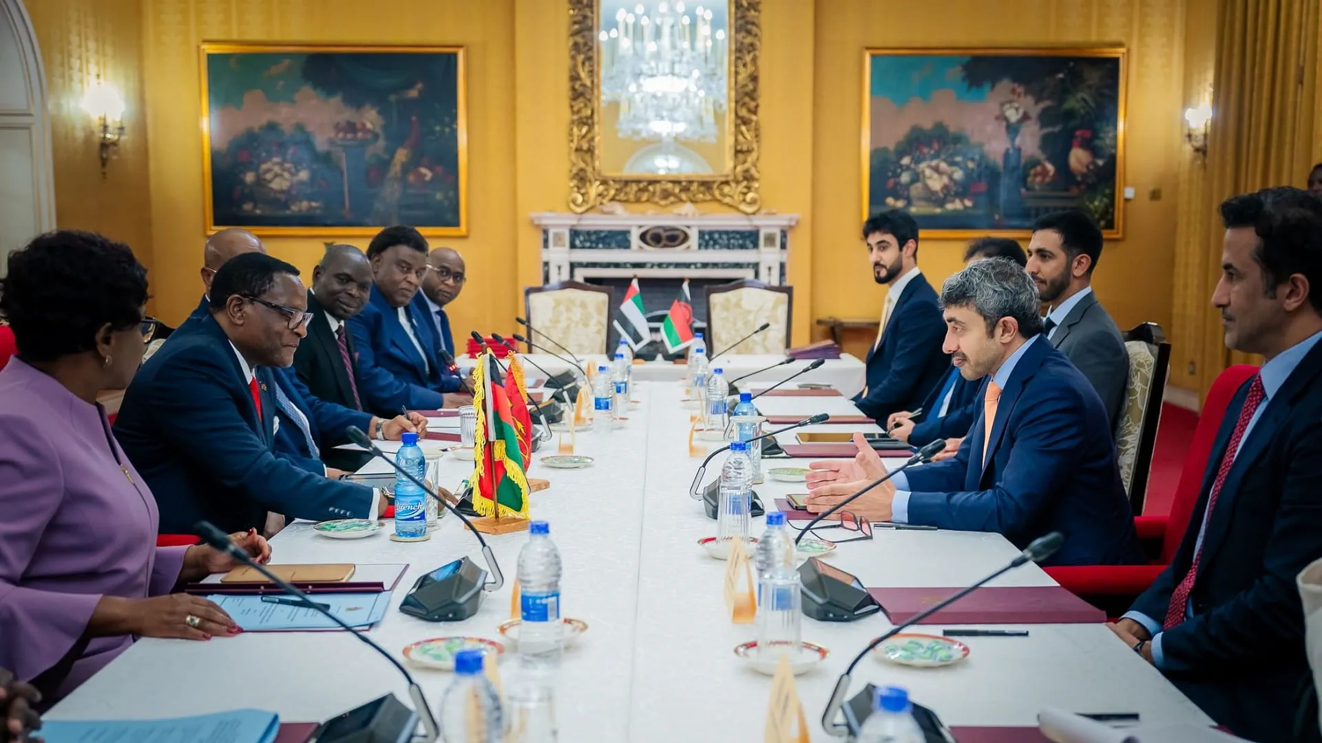 Malawi's president welcomes Abdullah bin Zayed 