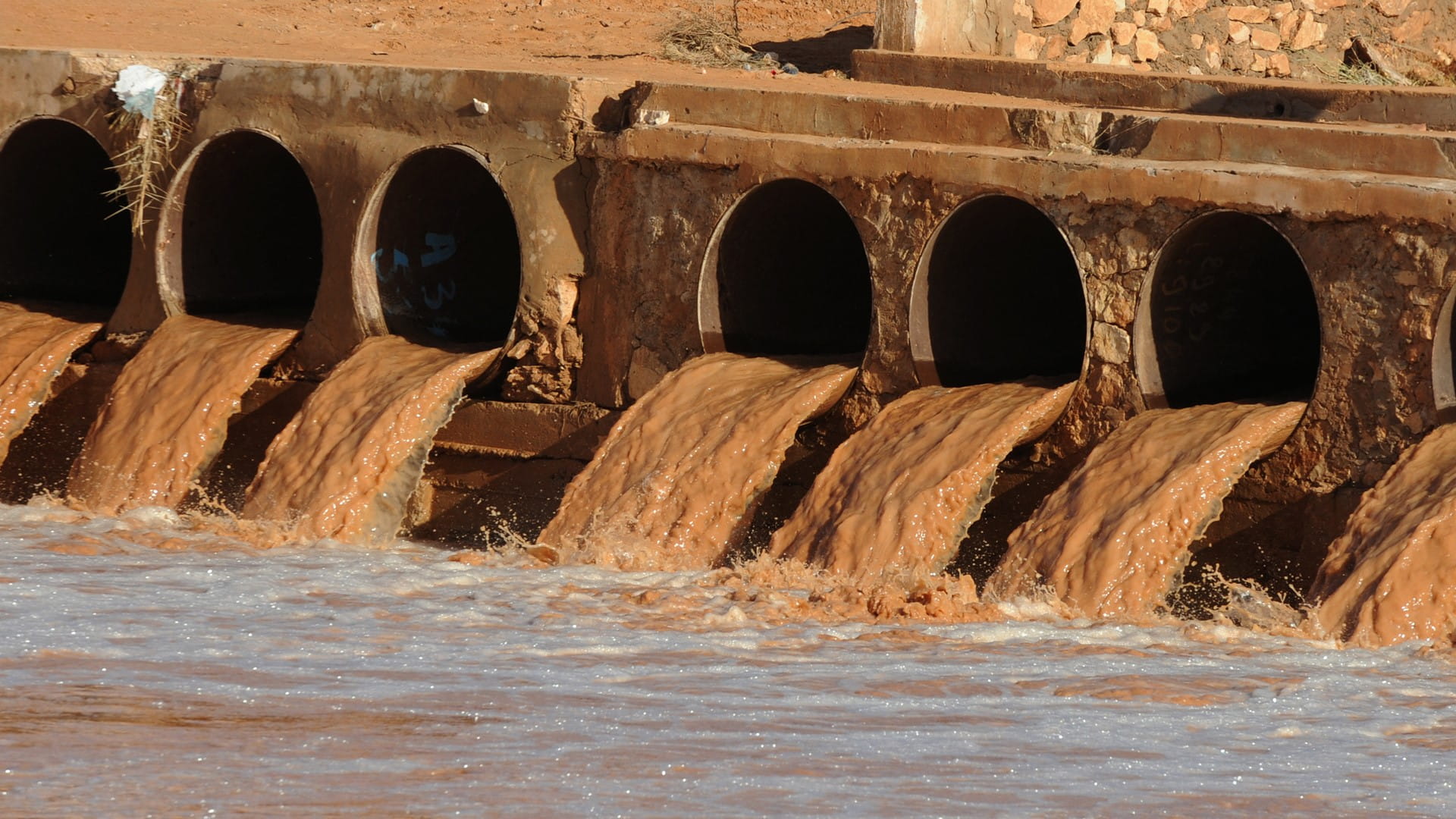 الجزائر: خمس وفيات جراء فيضانات وأمطار غزيرة 