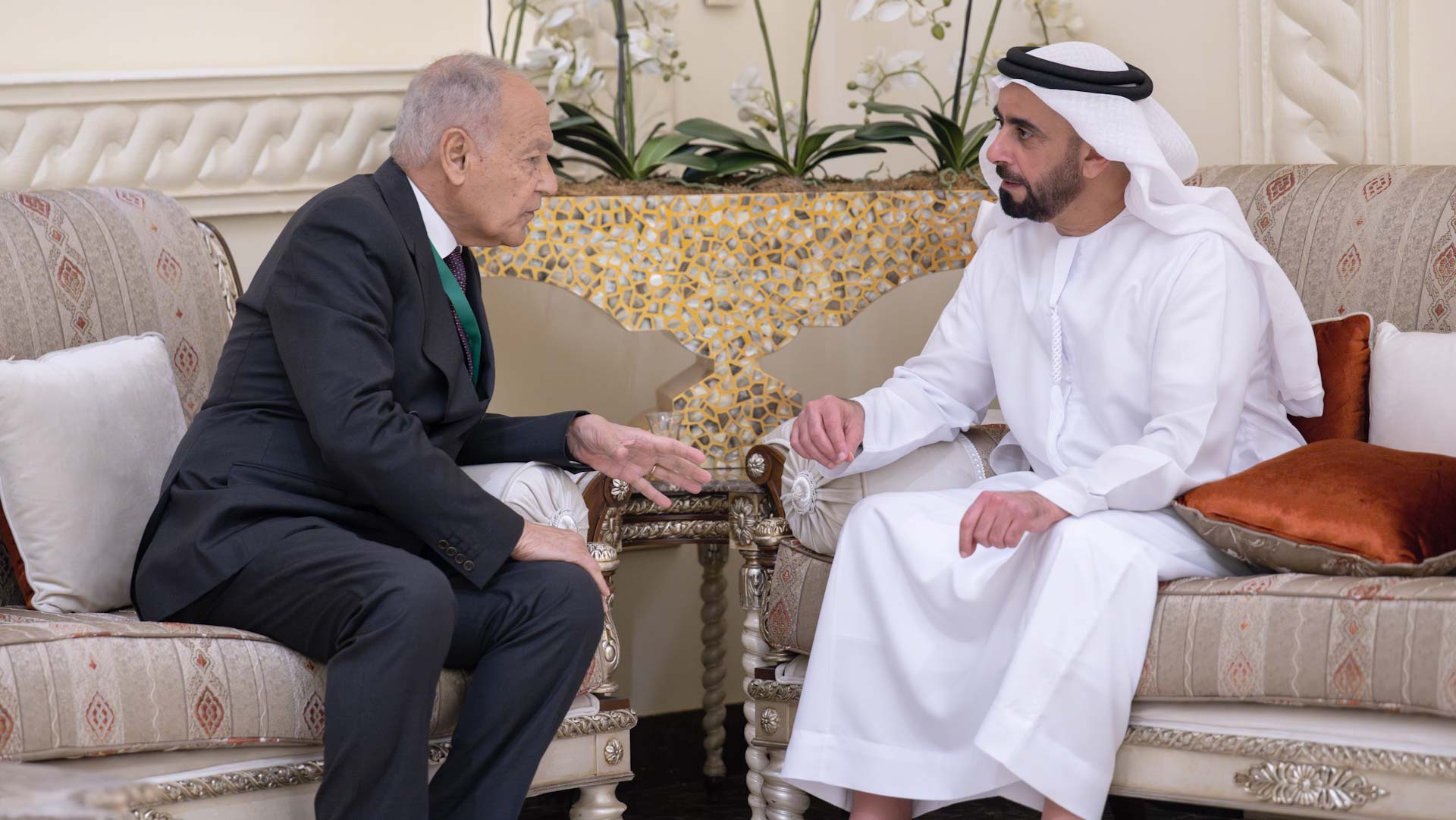 سيف بن زايد يلتقي الأمين العام لجامعة الدول العربية