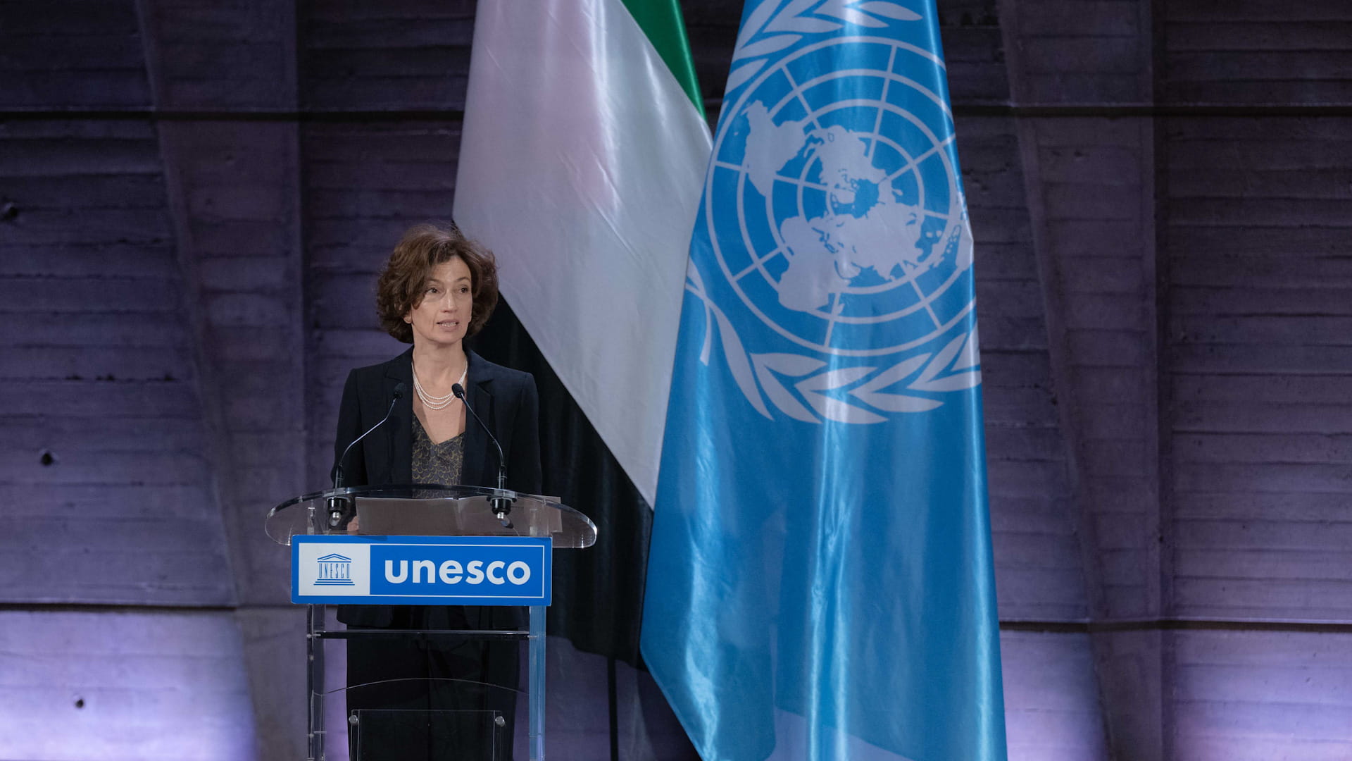 حاكم الشارقة يتسلم تكريم اليونسكو لإنجازه المعجم التاريخي للعربية 