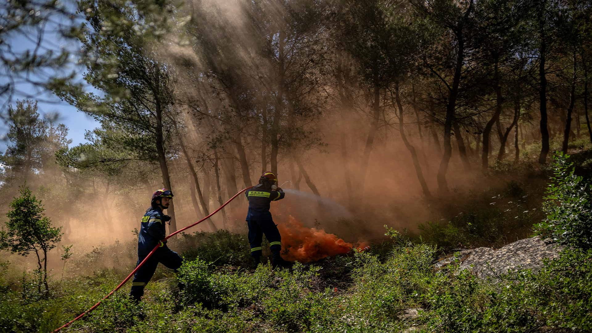 Athens prepares for wildfire season with intensive drills
