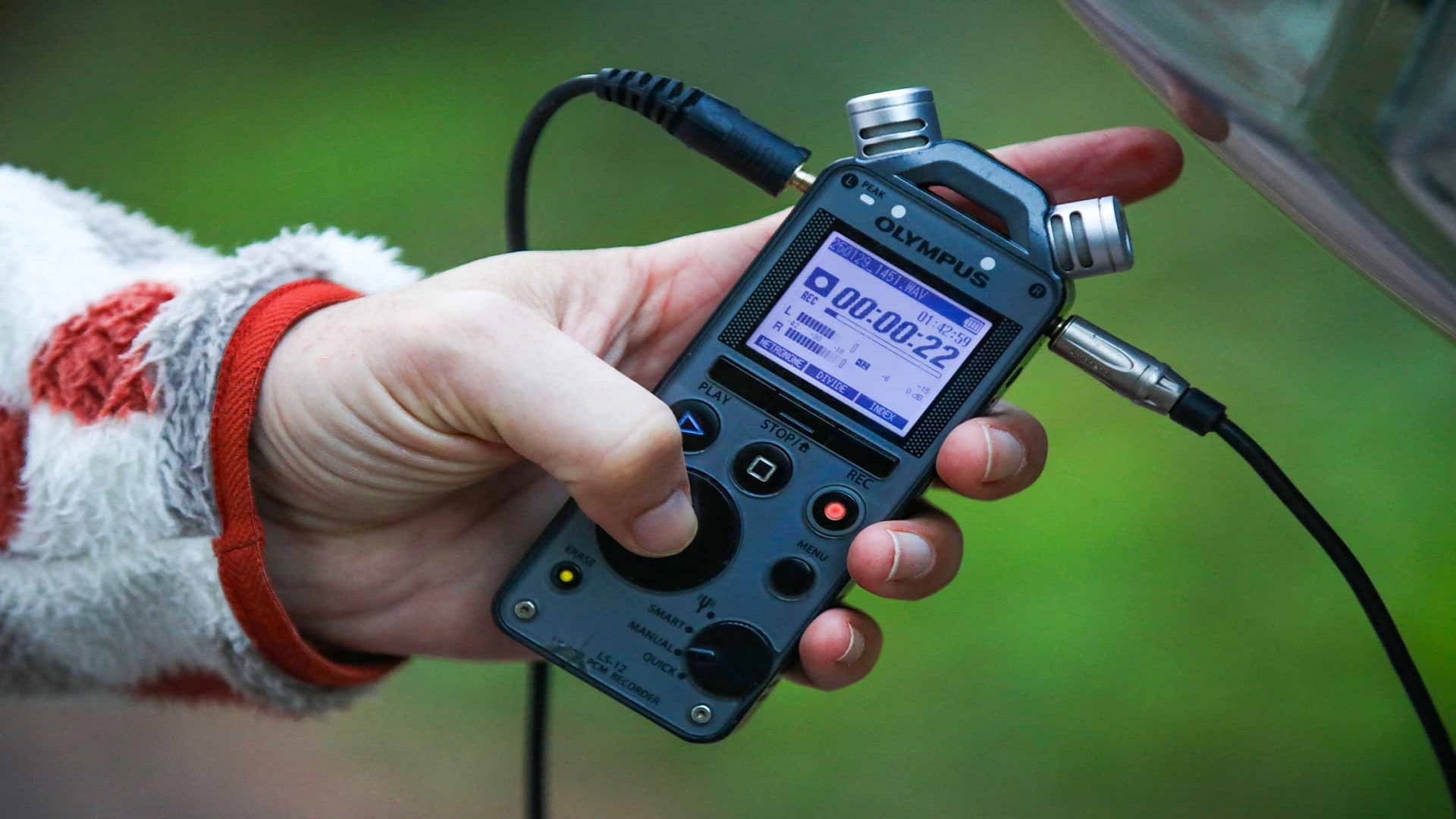 Recording Irelands birds A mission for conservation