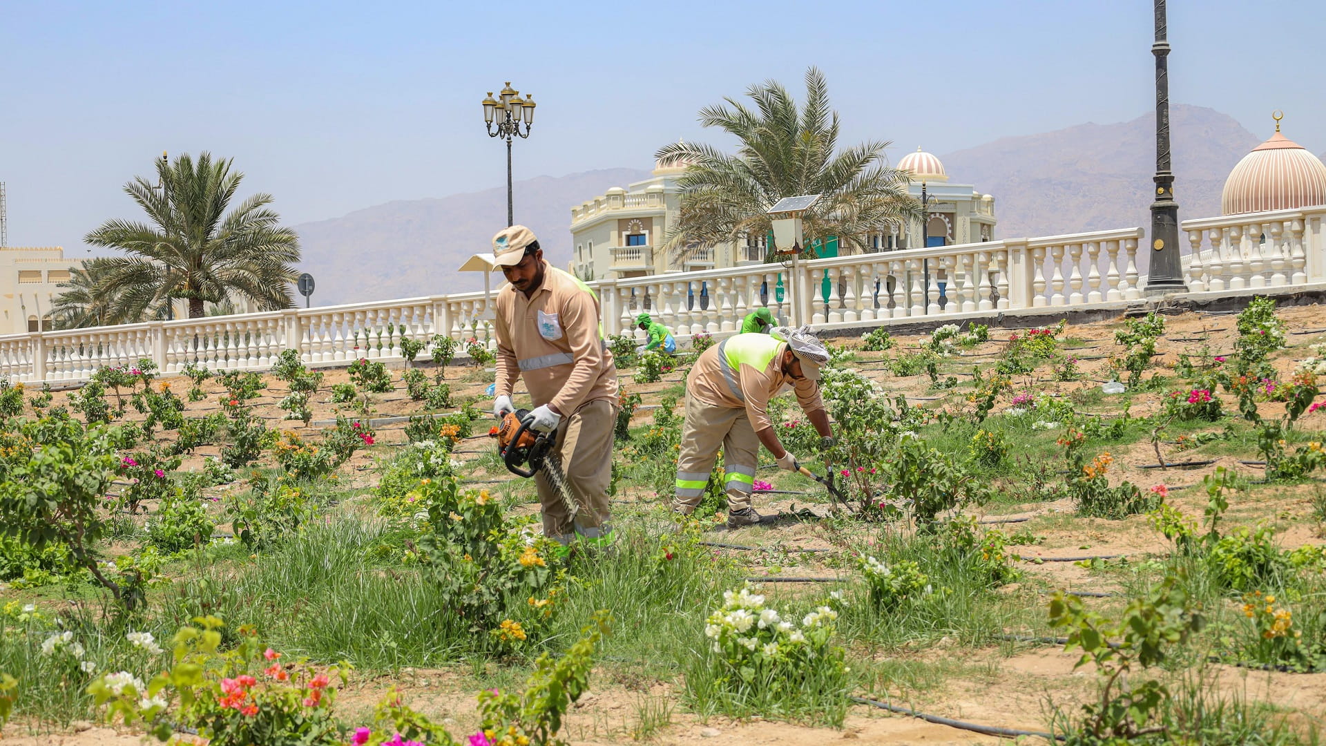 6 آلاف خدمة تقدمها بلدية دبا الحصن للسكان خلال 4 أشهر من 2025 