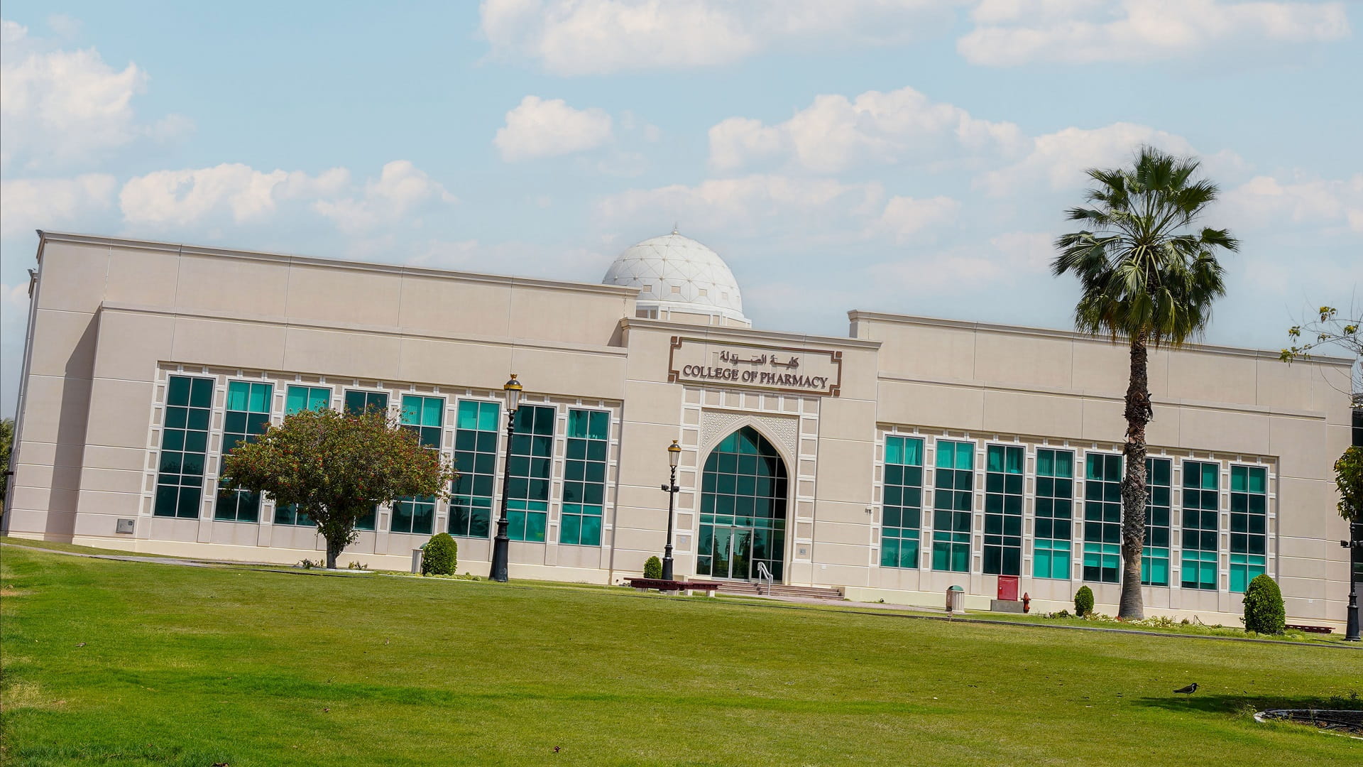 Int’l study led by UOS offers new hope for cancer patients  