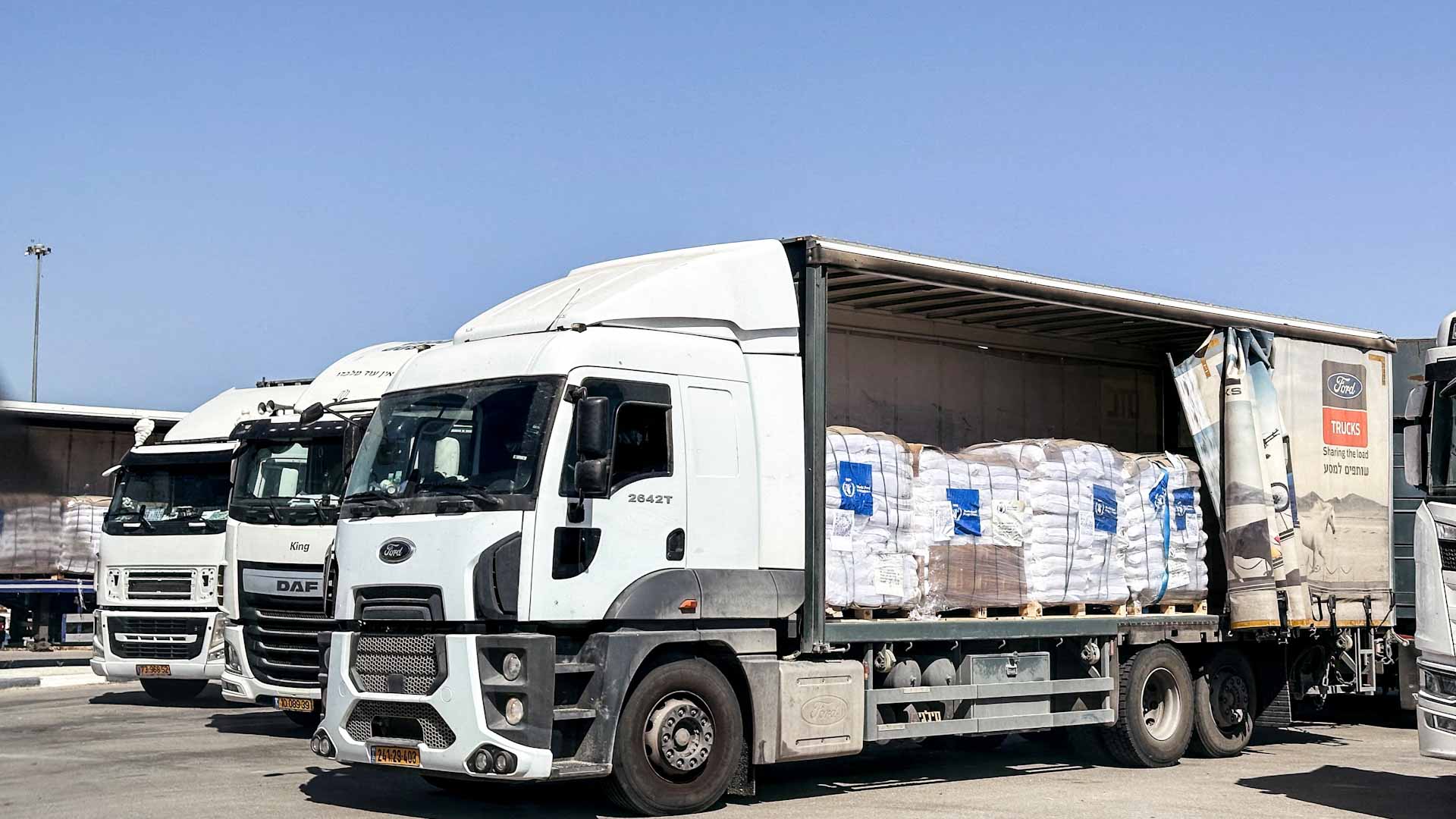 مدير مؤسسة إغاثة غزة جيك وود يستقيل بسبب غياب الاستقلالية 