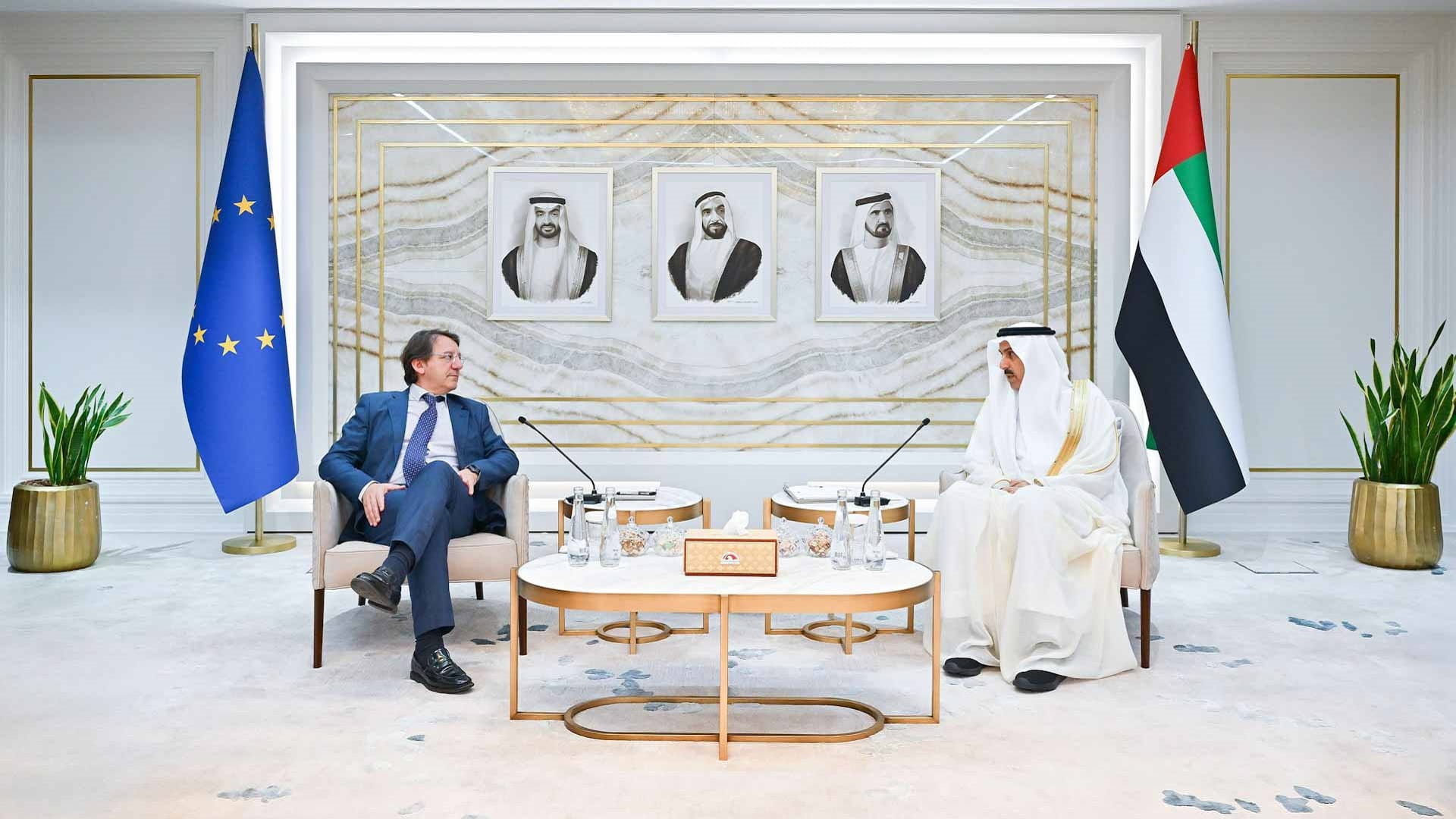 المجلس الوطني الاتحادي والبرلمان الأوروبي يبحثان التعاون  