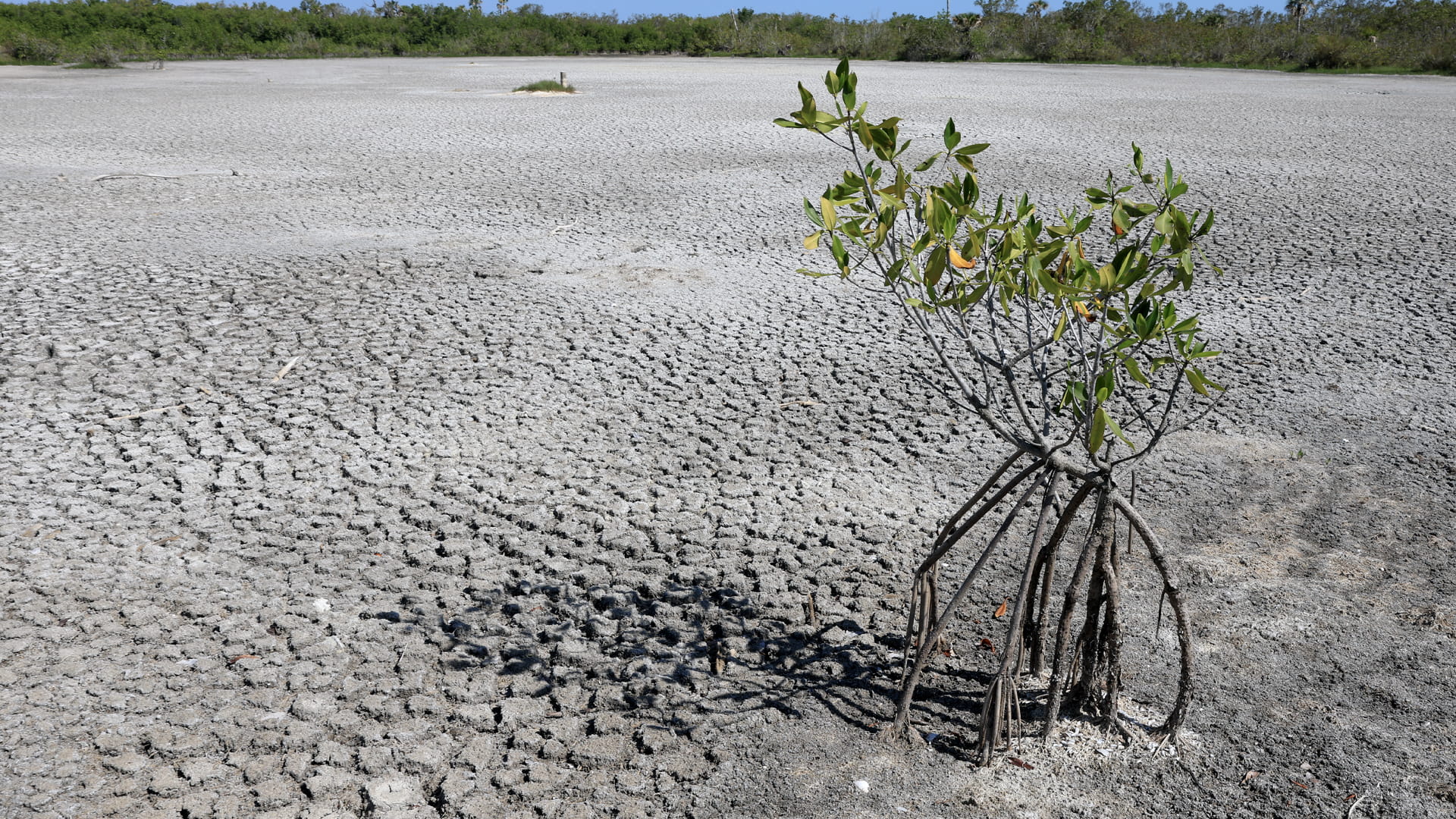  للأسف.. احتمالات تخطى معدل الاحترار 1,5 % بحلول 2029 تصعد إلى 70%